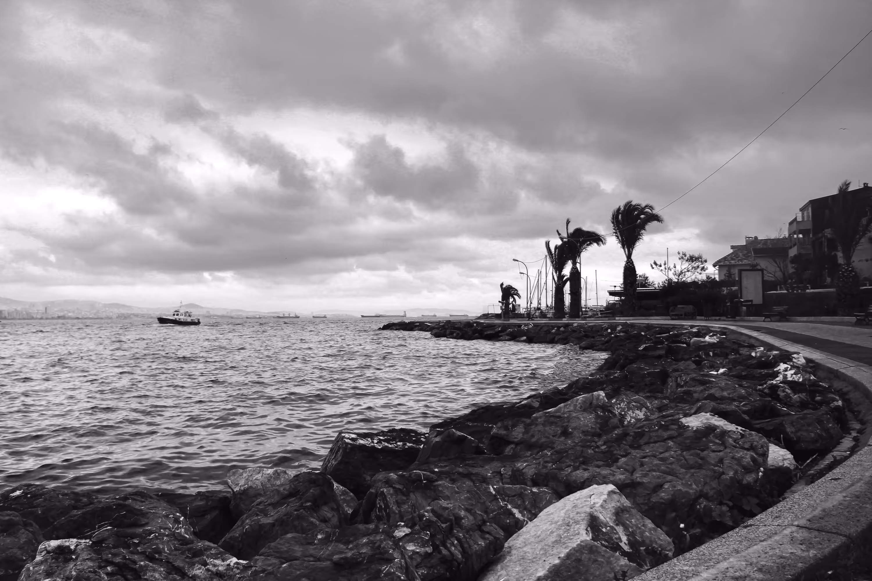 wind coast