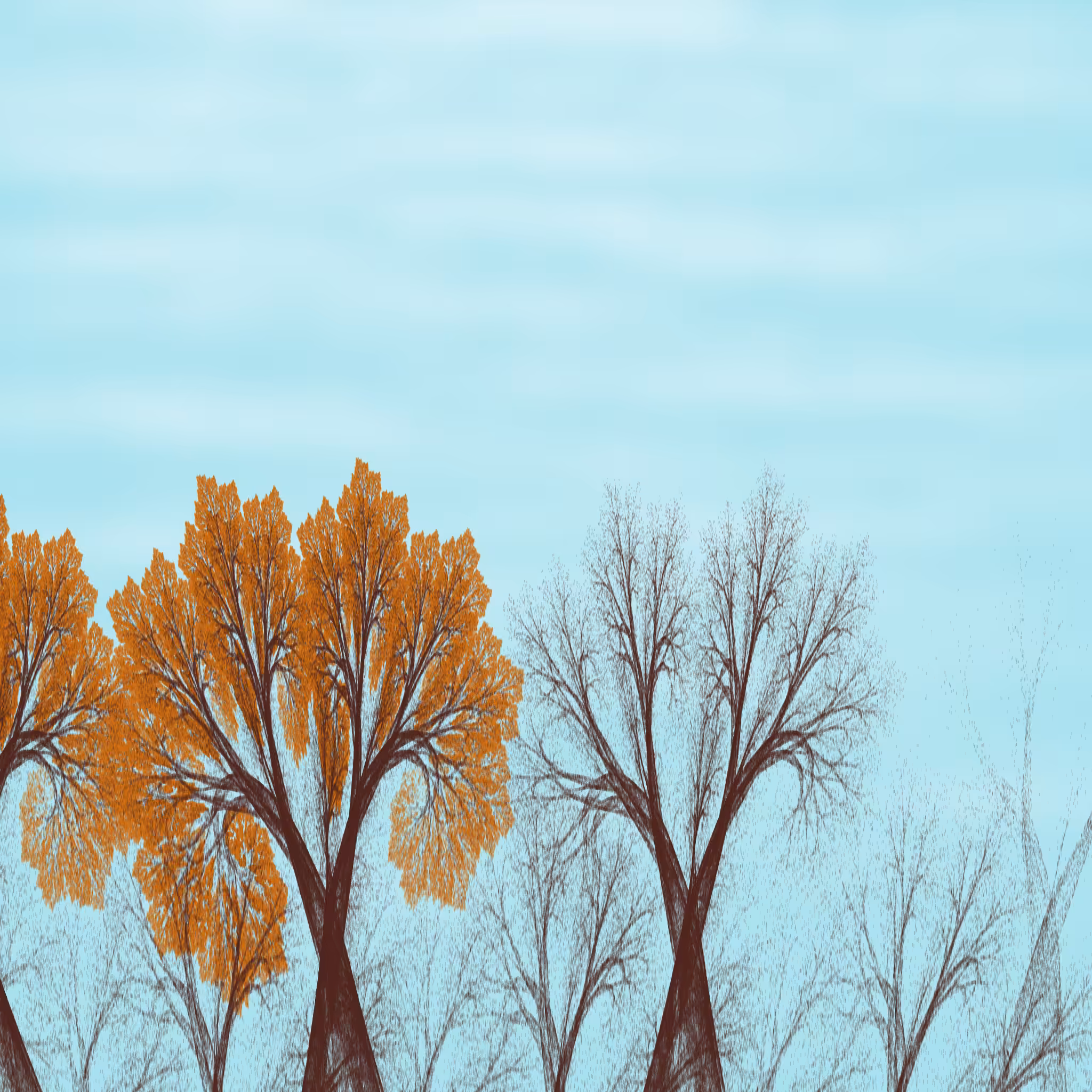 Chaotic Treescape #5