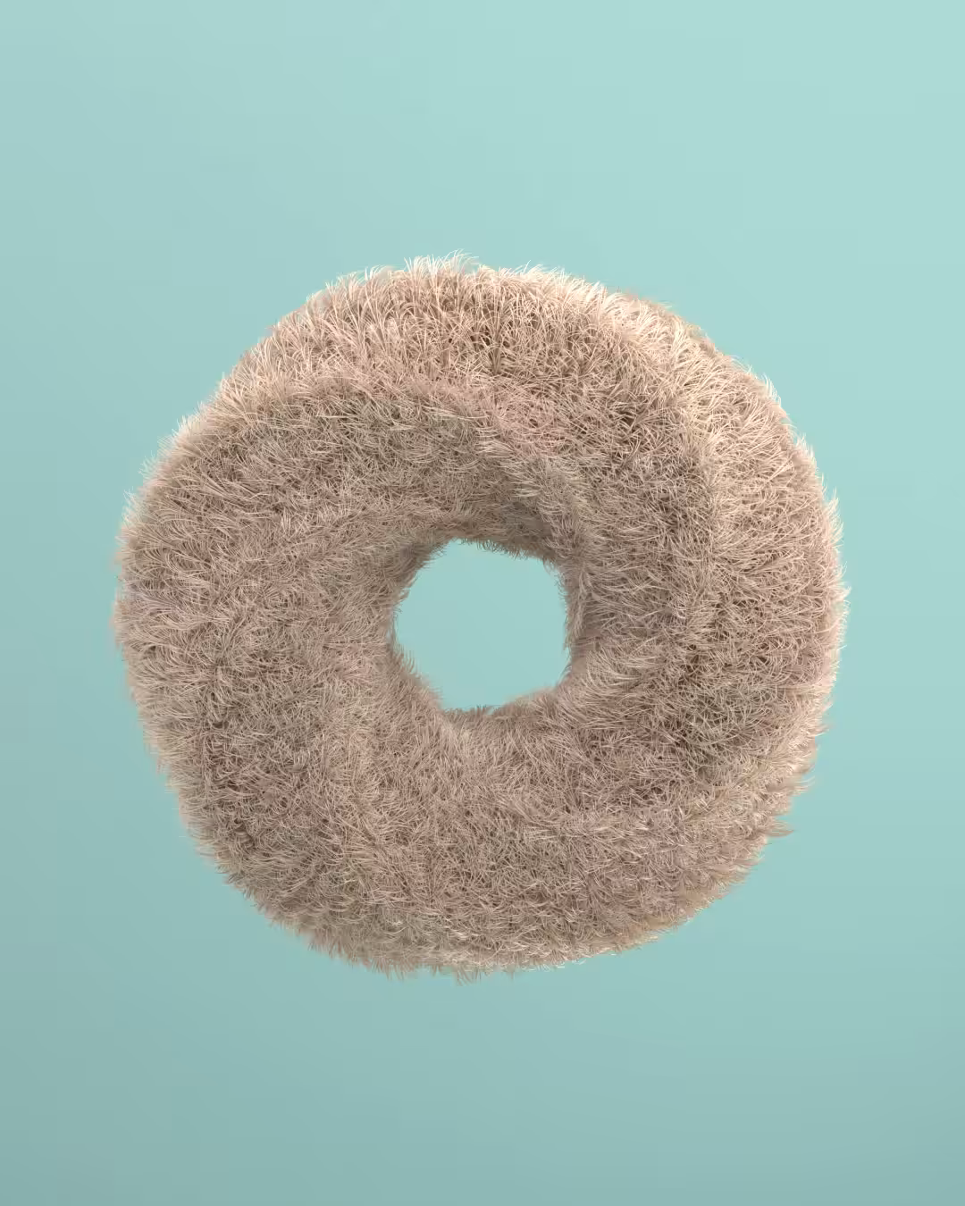 Shaggy Donut