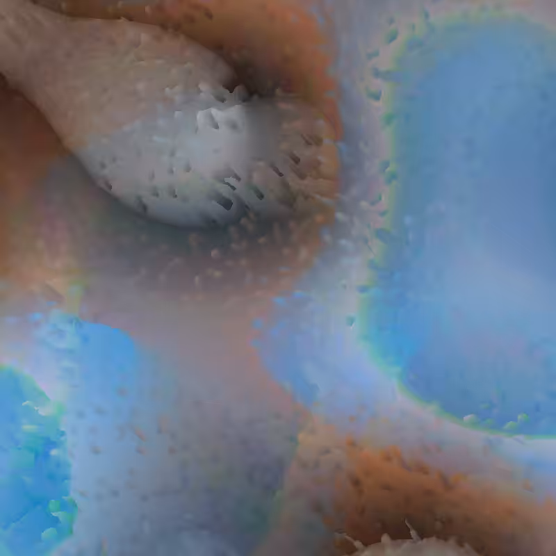 Liquidity #26
