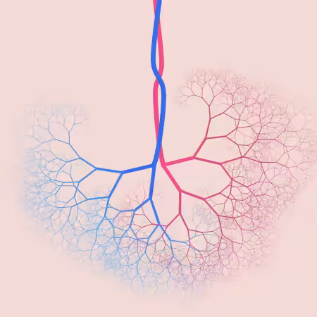 capillary trees #2