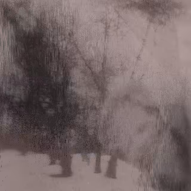 Metamorphose Three #17