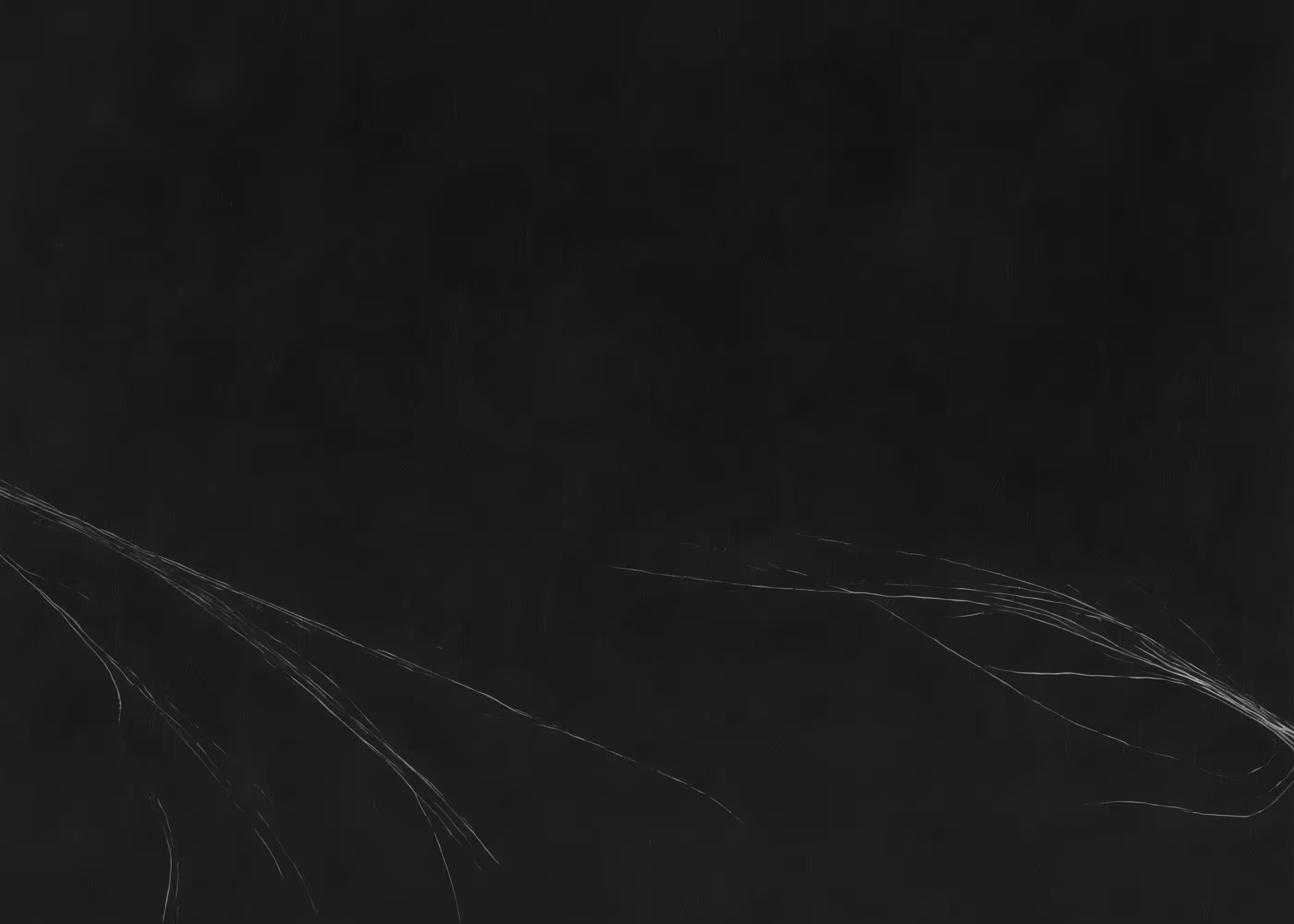 Lumens #346