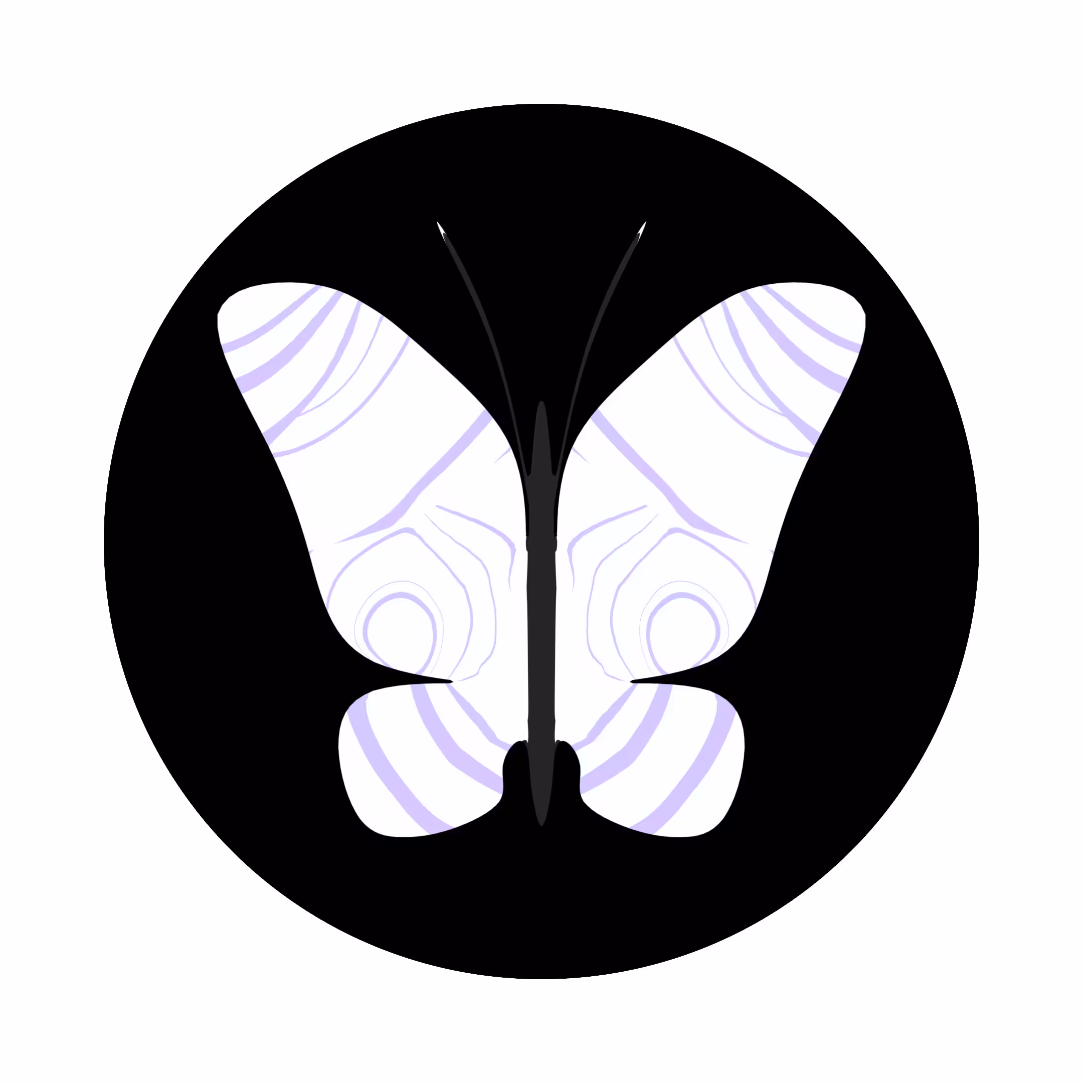 Aesthetic Butterfly #006