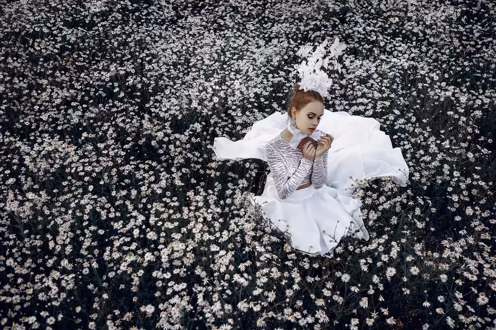 White butterfly