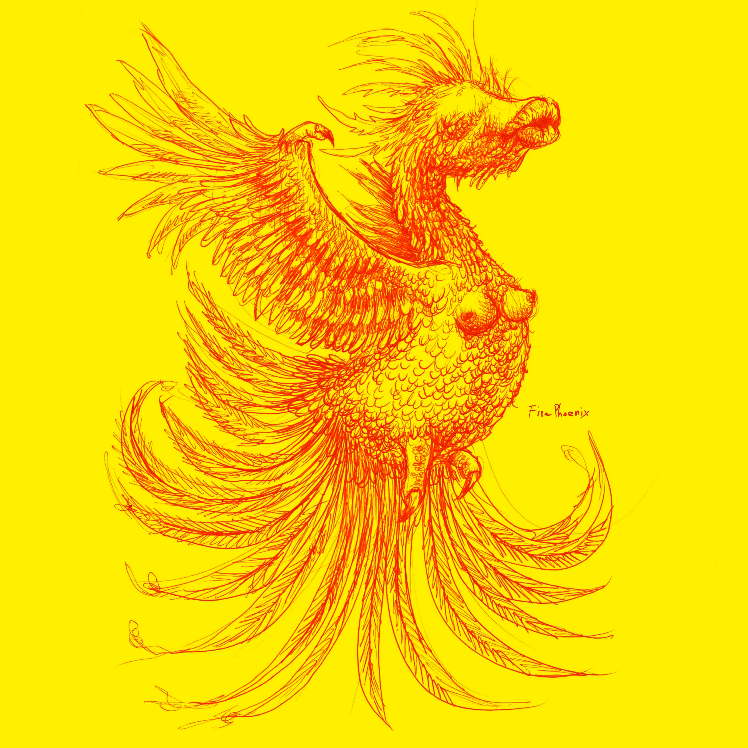 whimsie fire phoenix