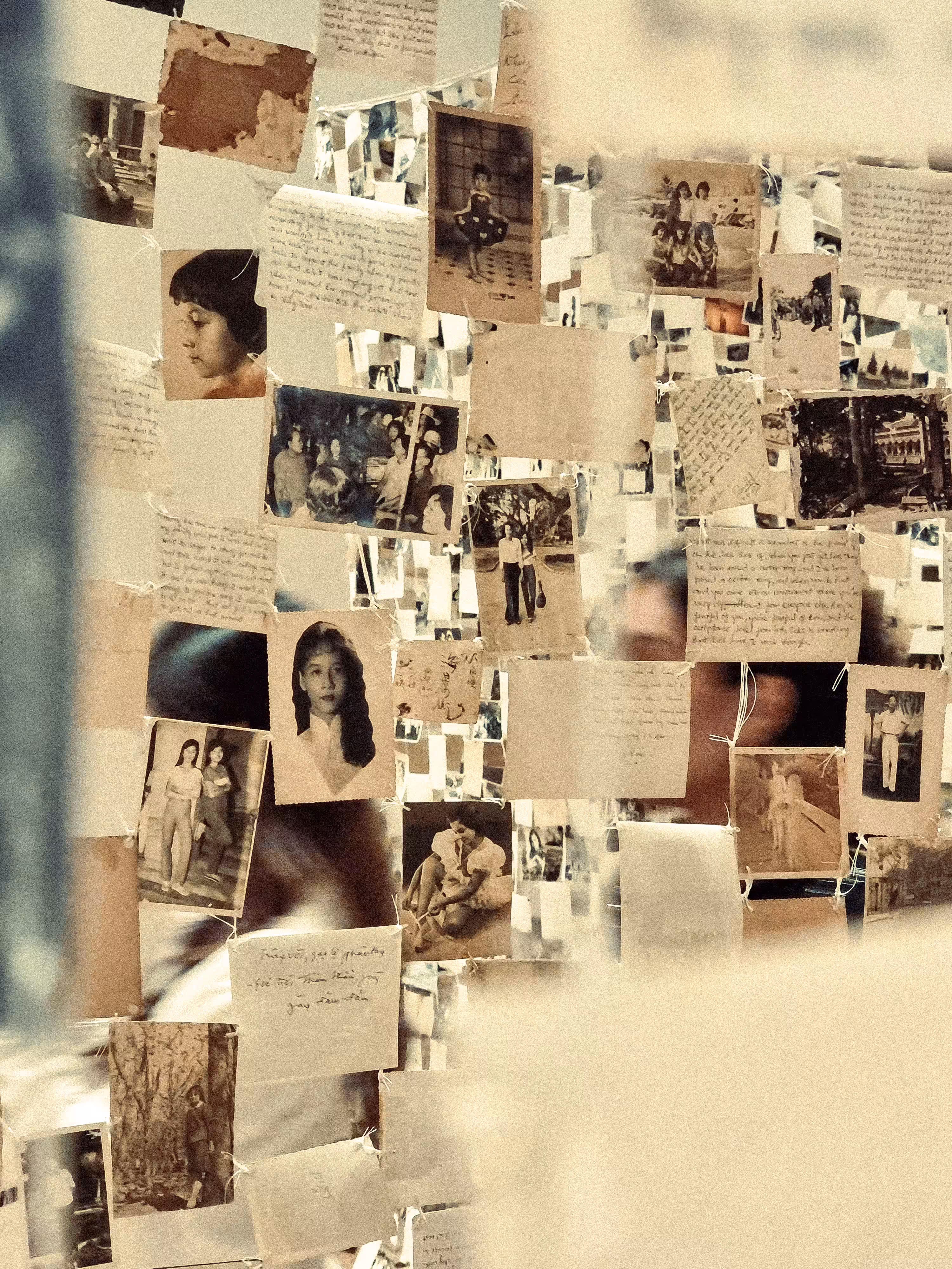 Ephemeral Perspectives: Dinh Q. Lê's "Crossing the Farther Shore"