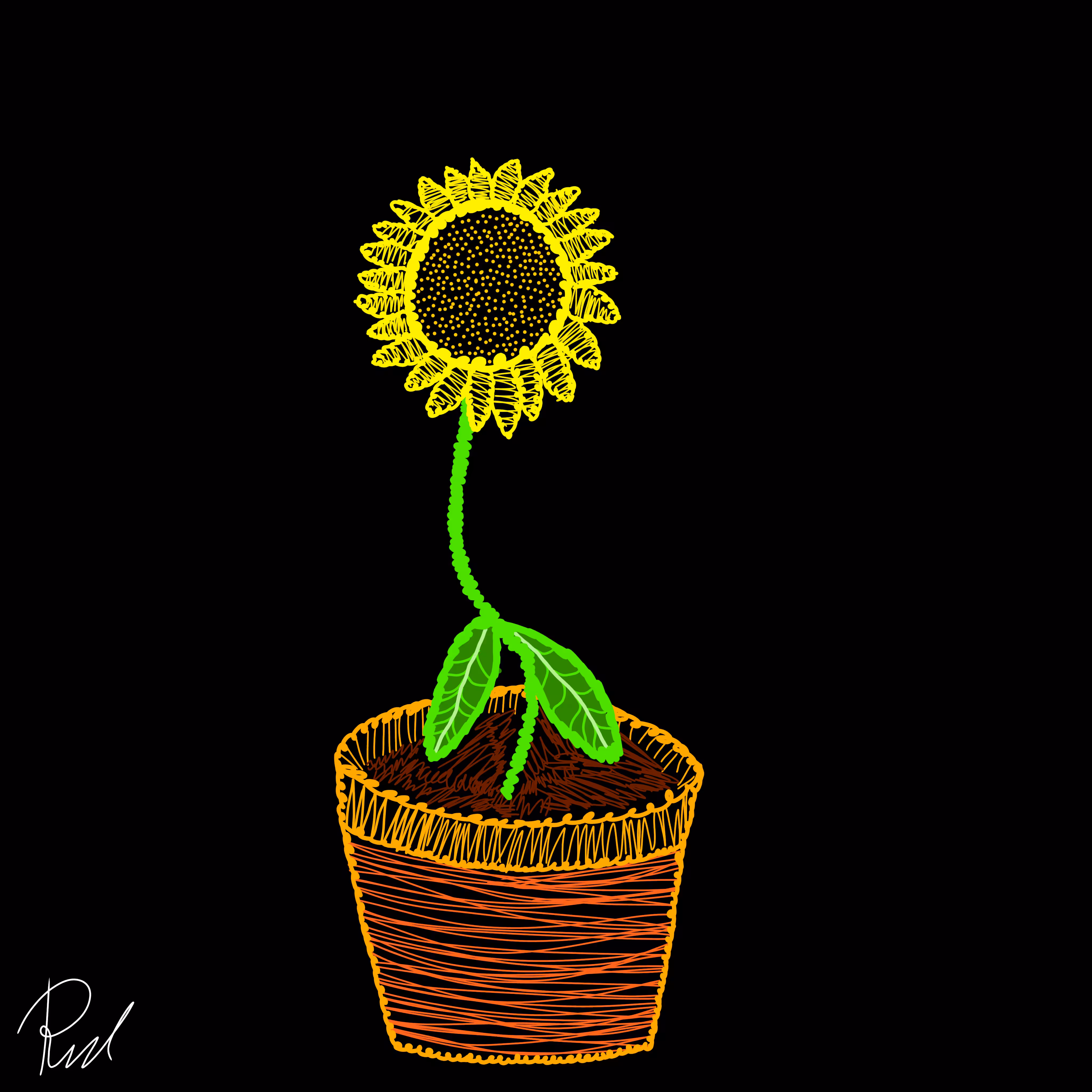 Midnight Sunflower