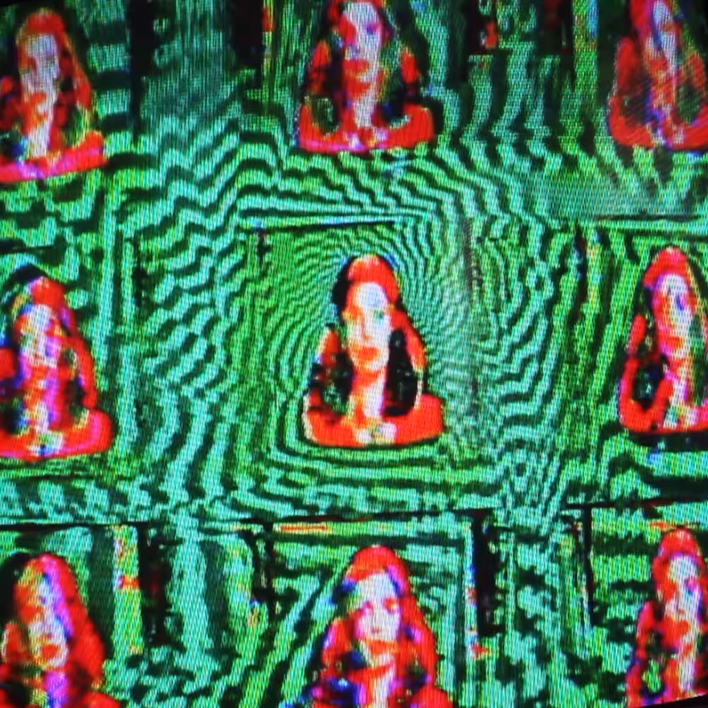 Enter The Videodrome
