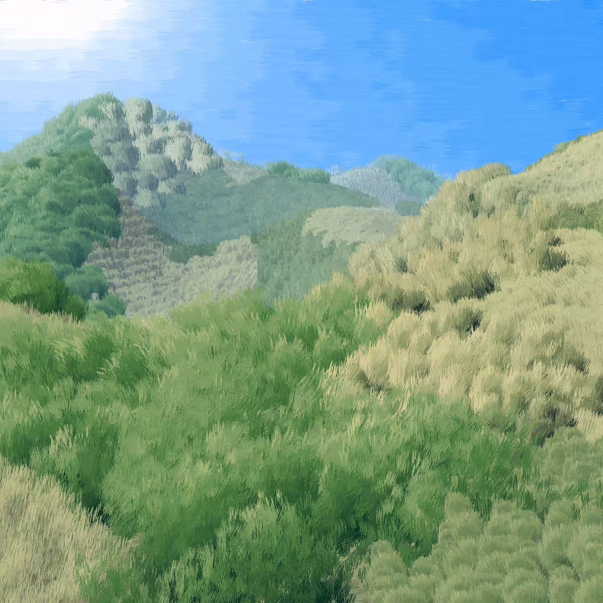 Provence #473