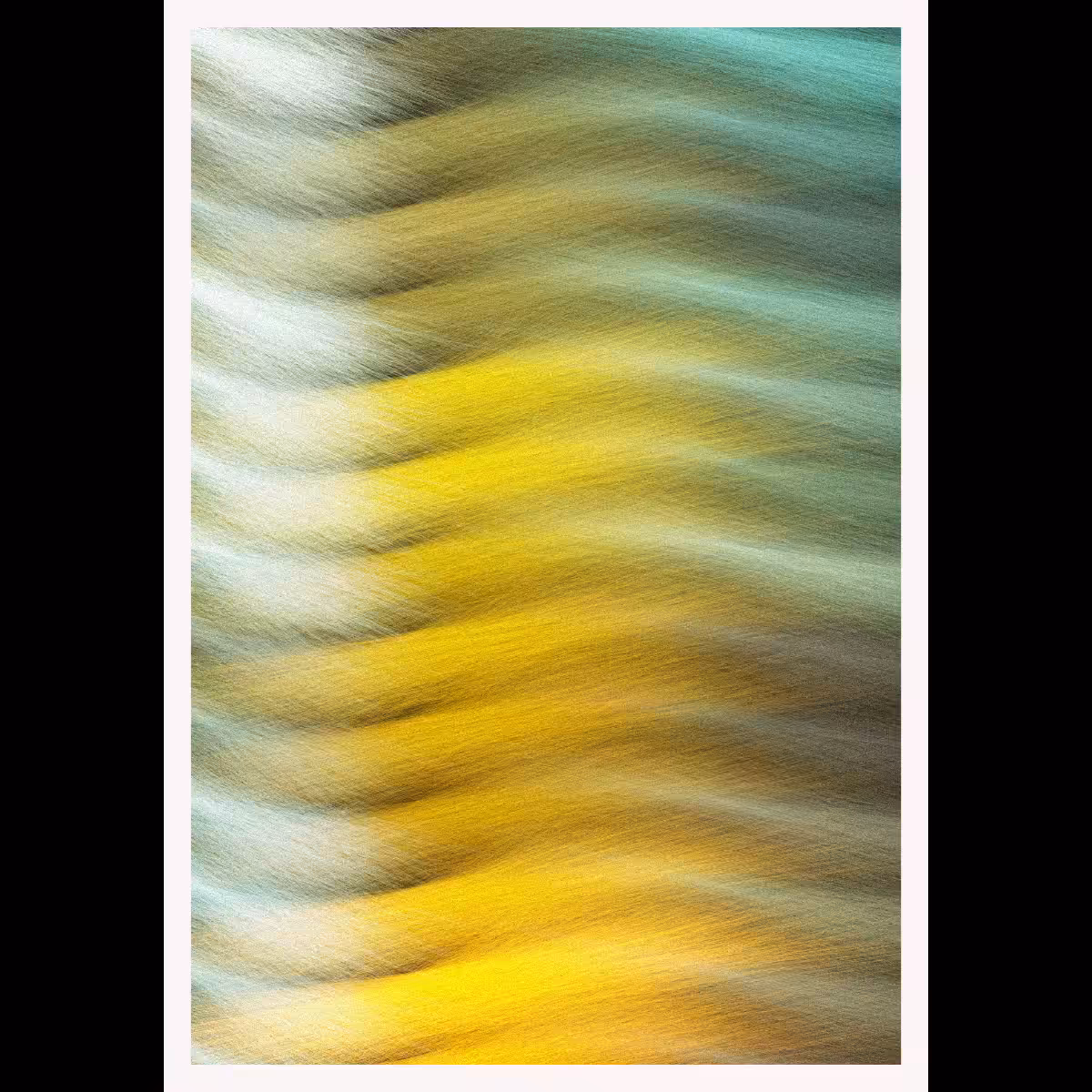 Furrr #195