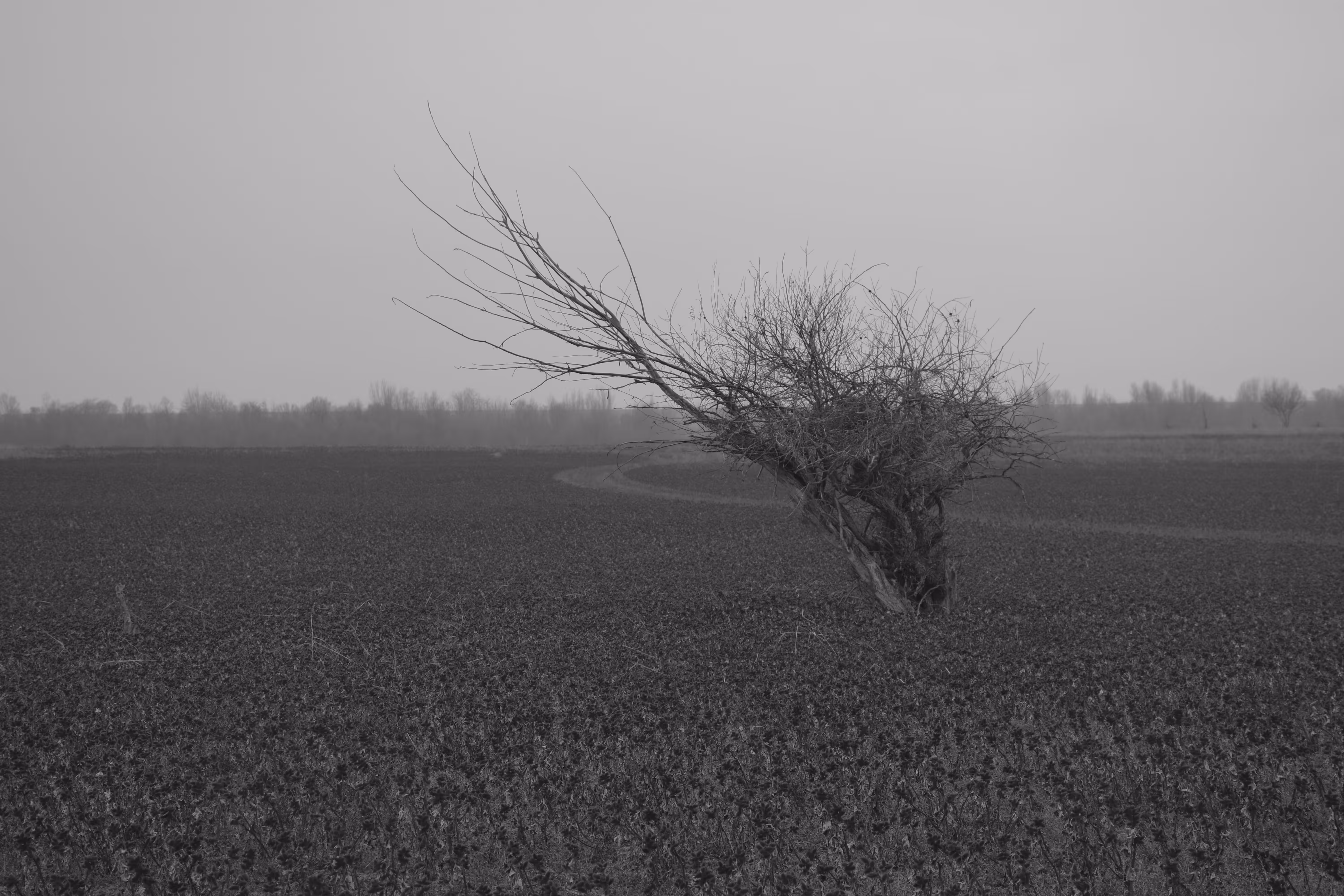 Loneliness #3