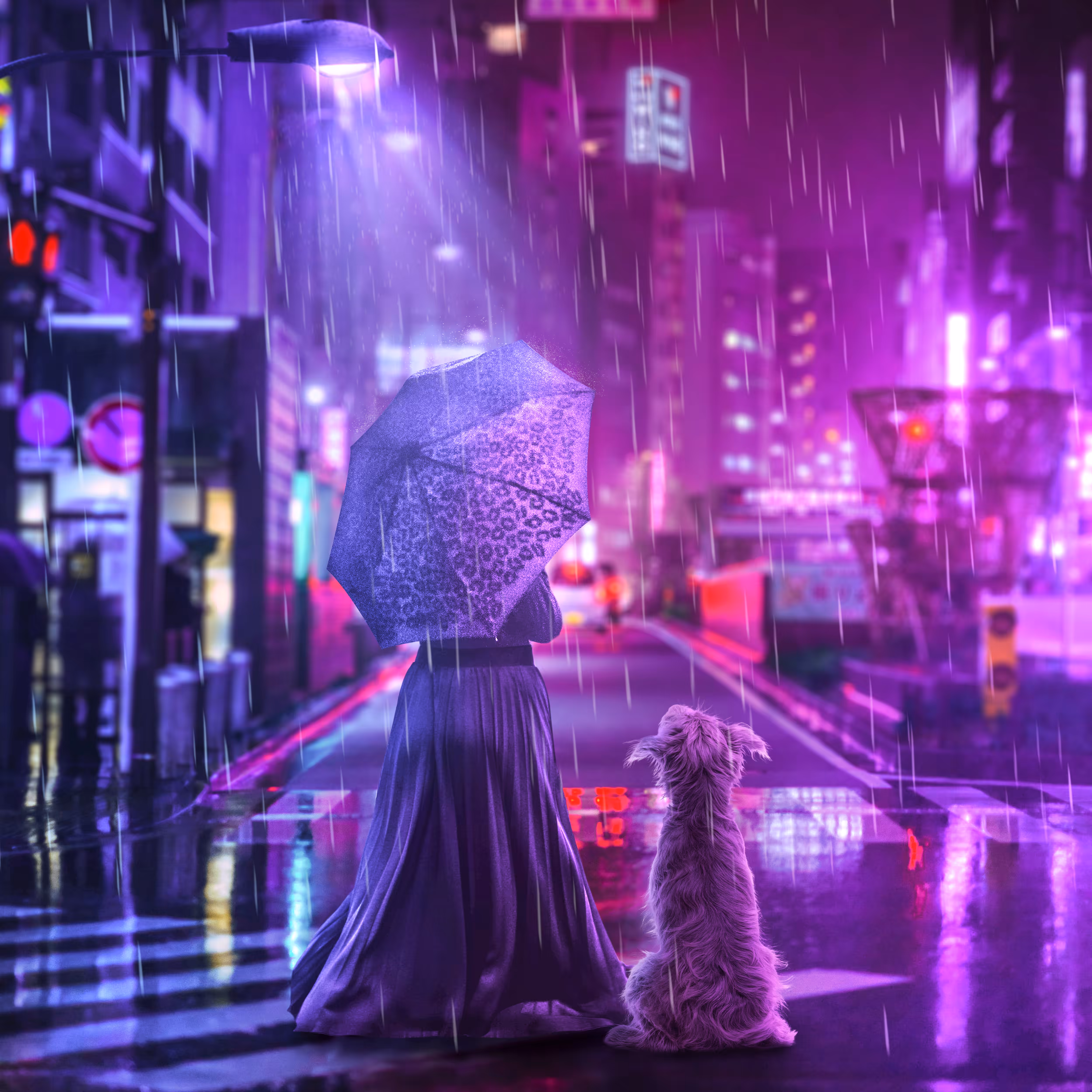 A furry friend