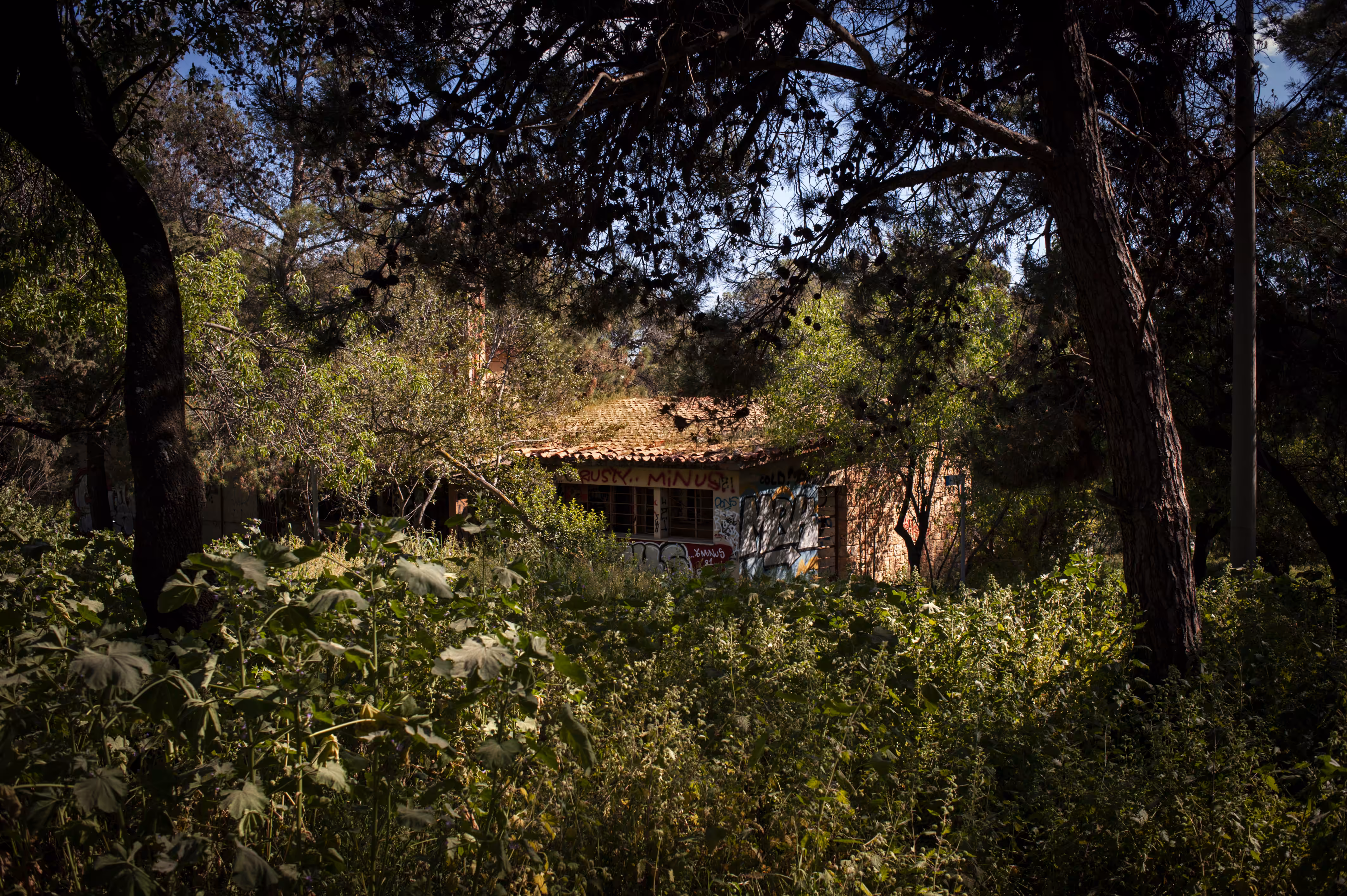The Minus House
