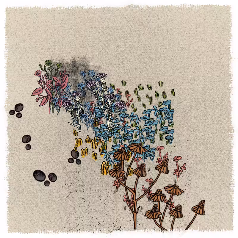 Gardens  #101