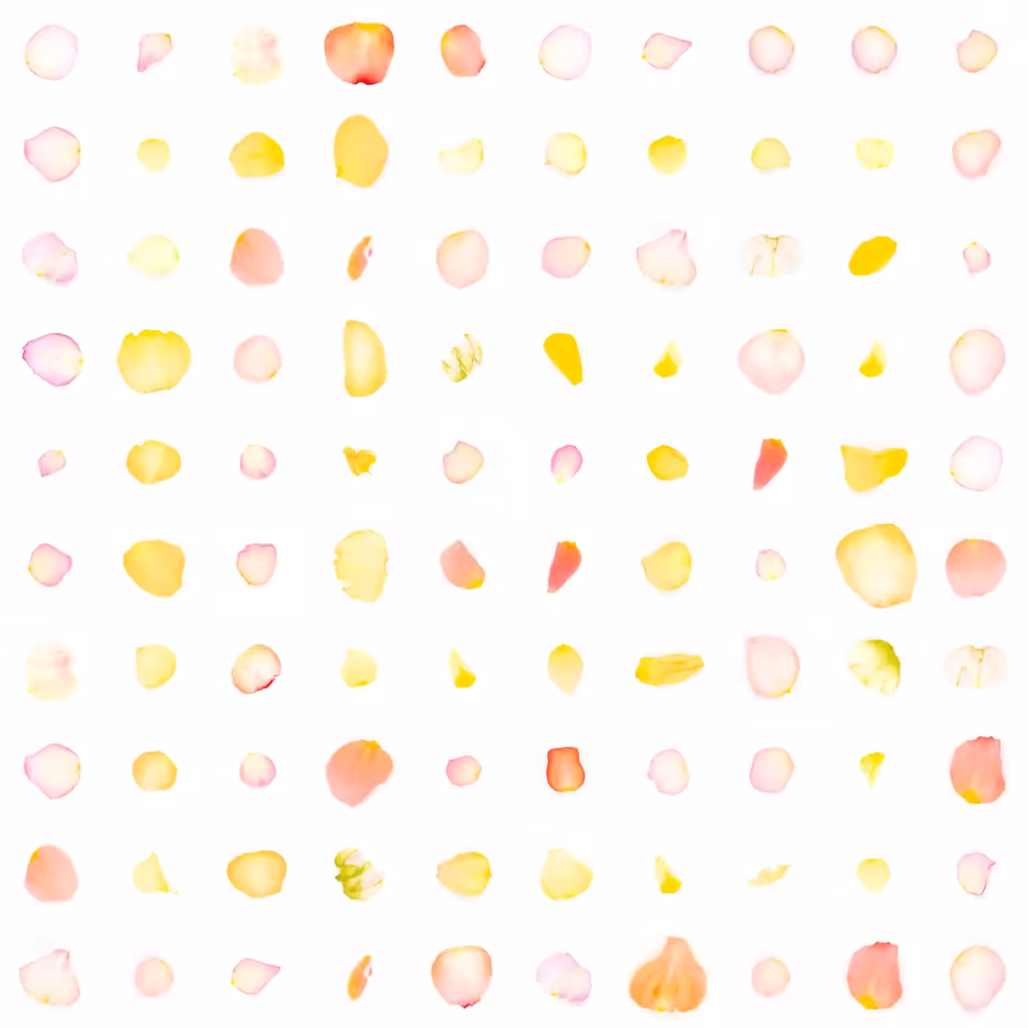 Infinite Petals 10x10#1922