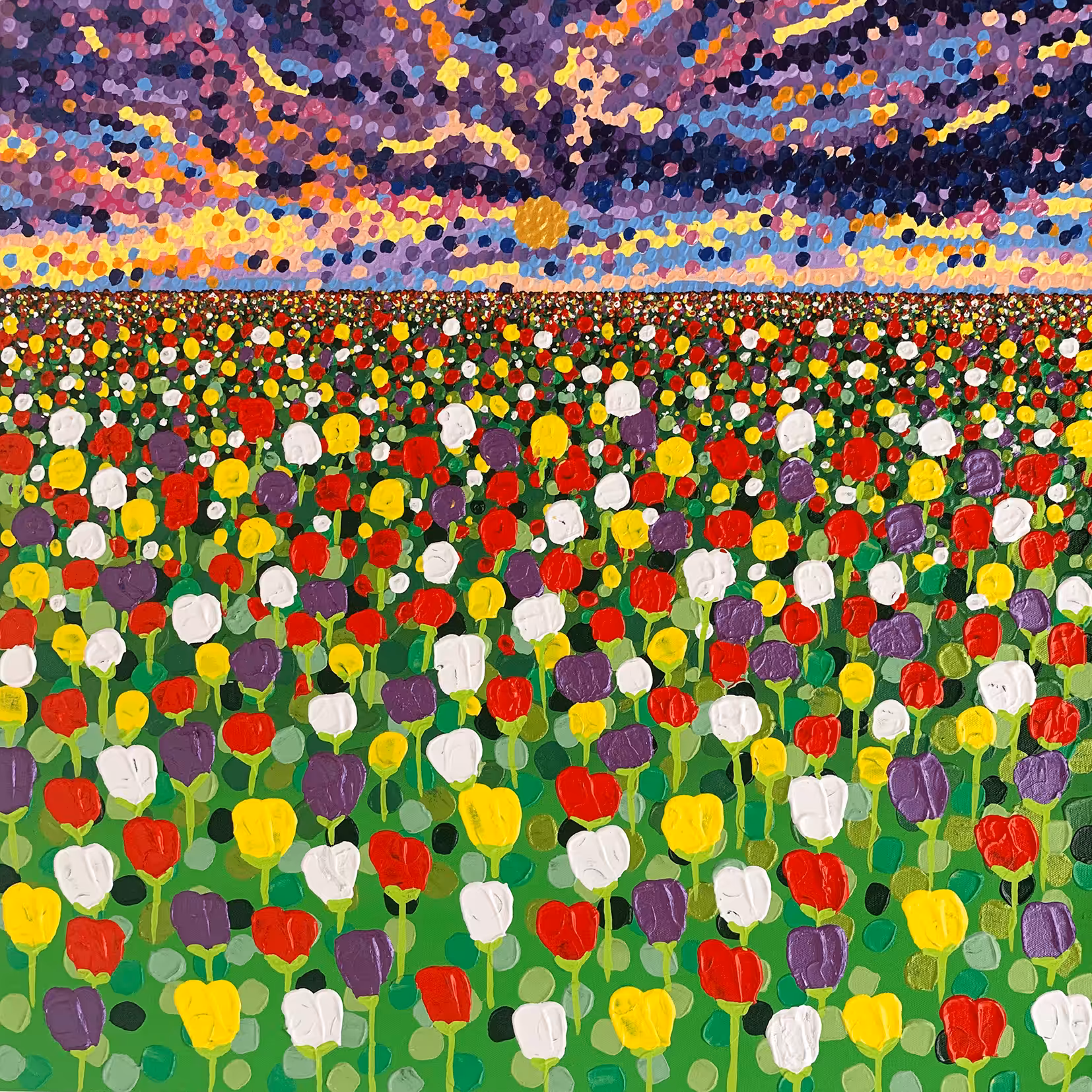 Tulip fields