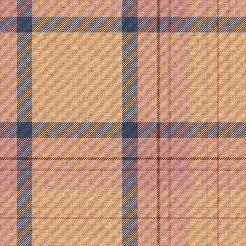 Tartan Cloth #9