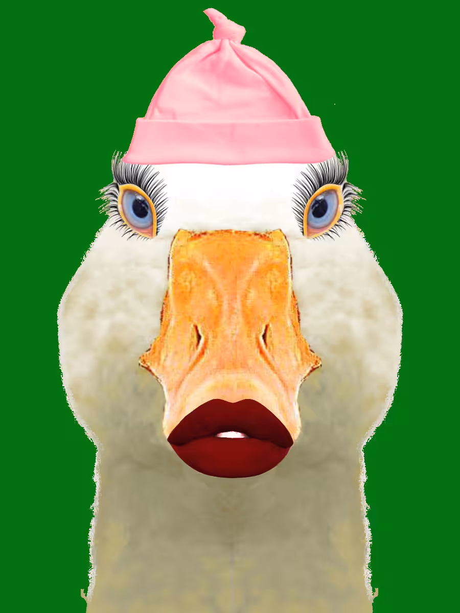 GE-GOOSE #0062
