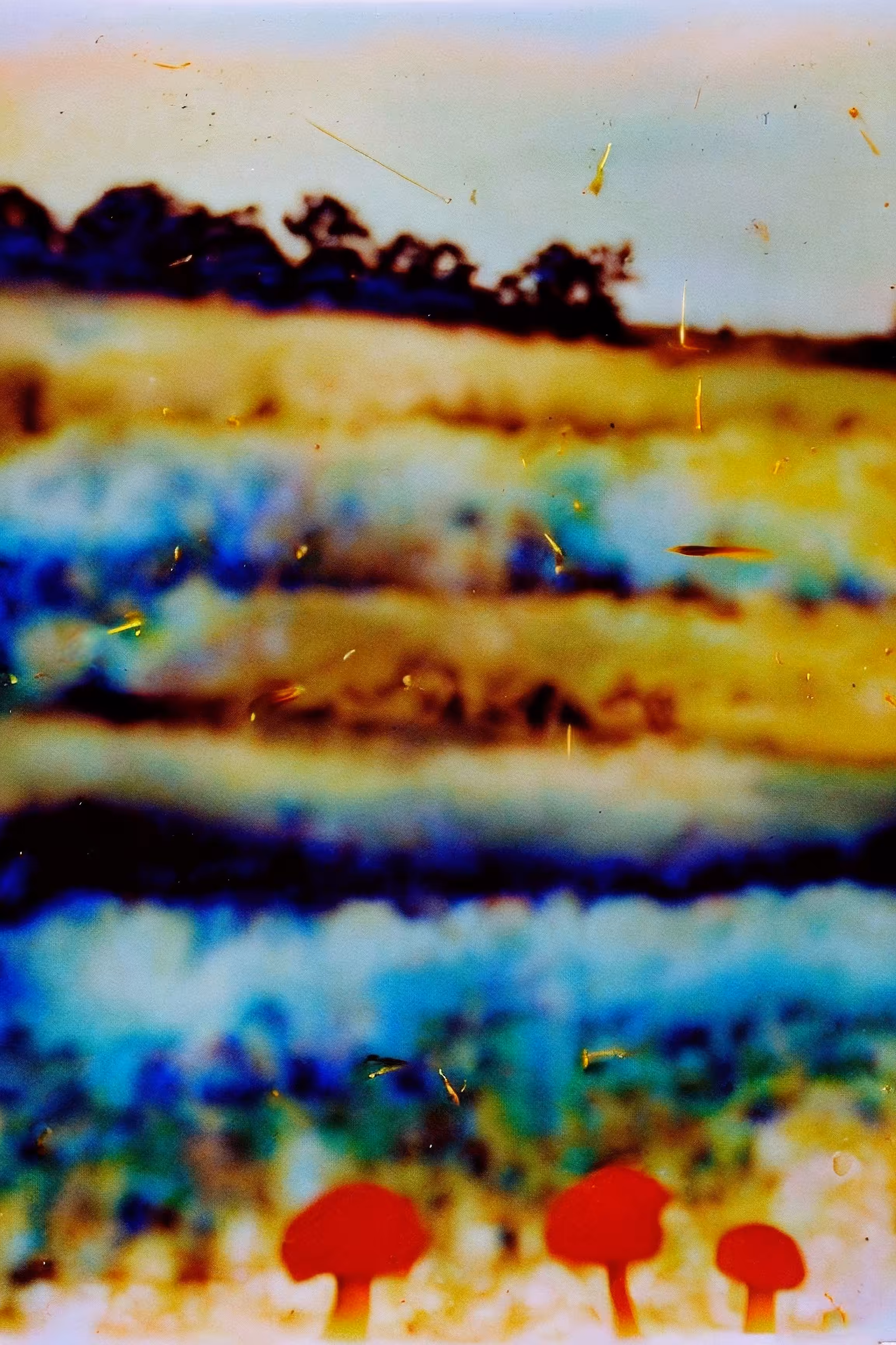 Utopia Found #35