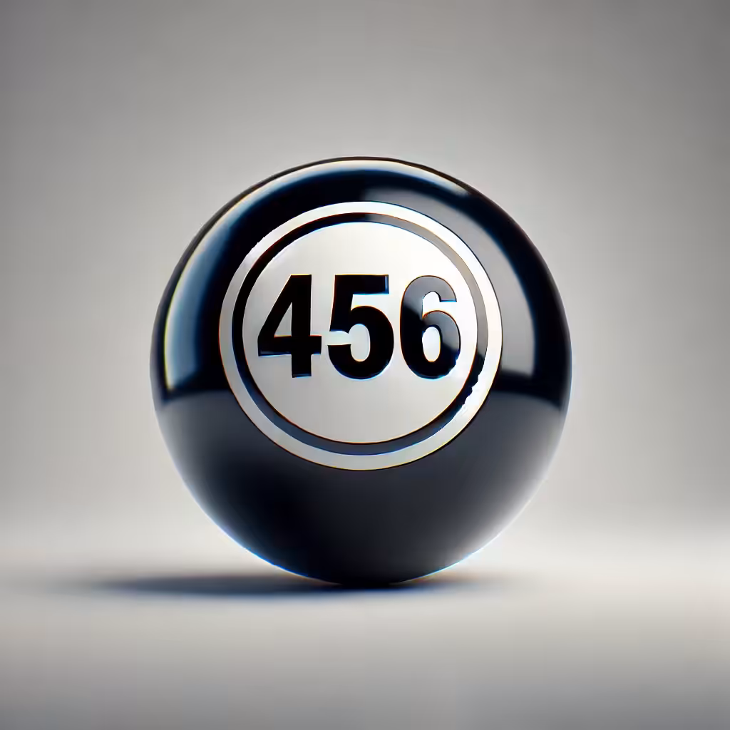 Bingo 456