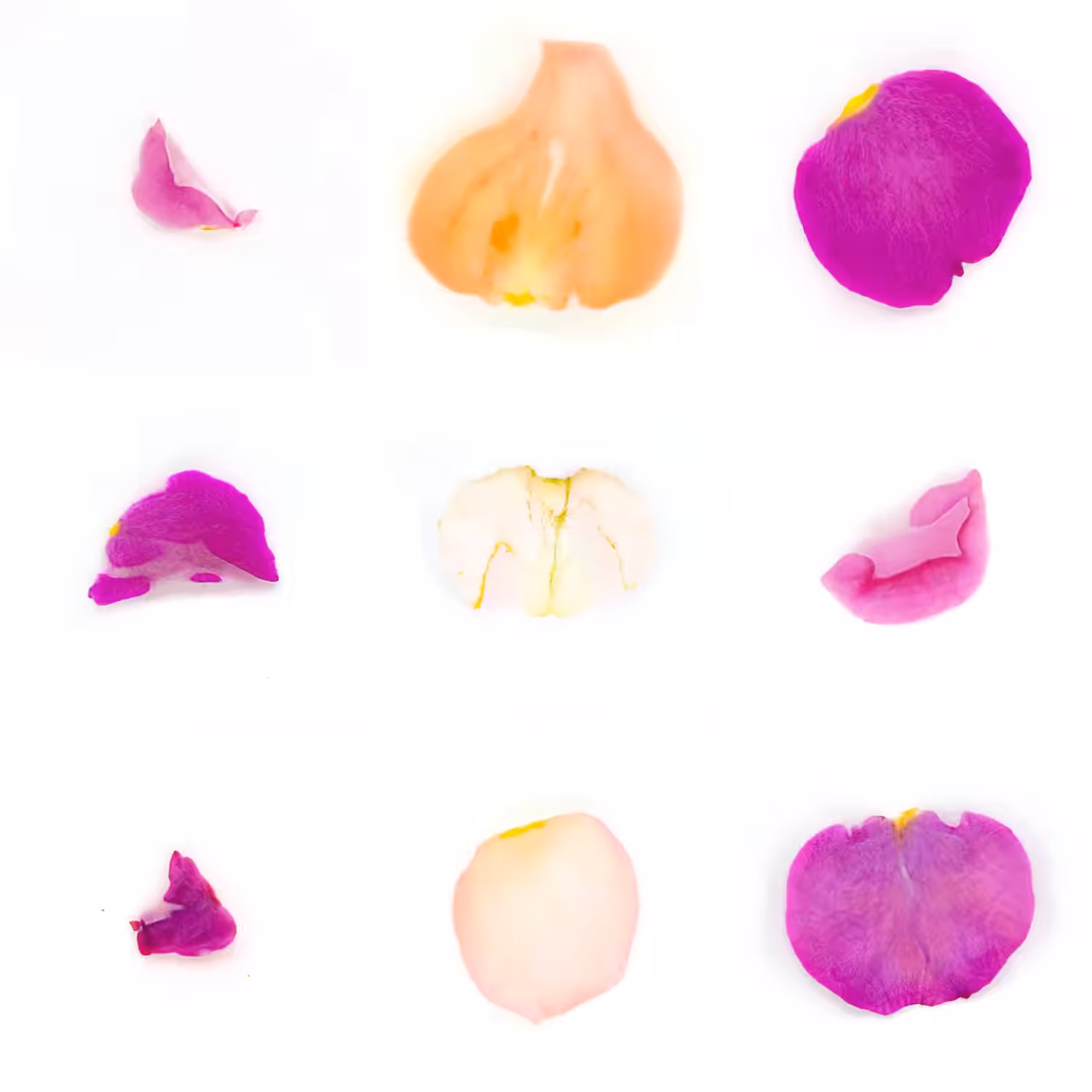 Infinite Petals 3x3#1915