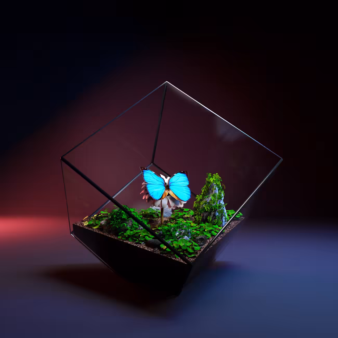 Terrarium #02