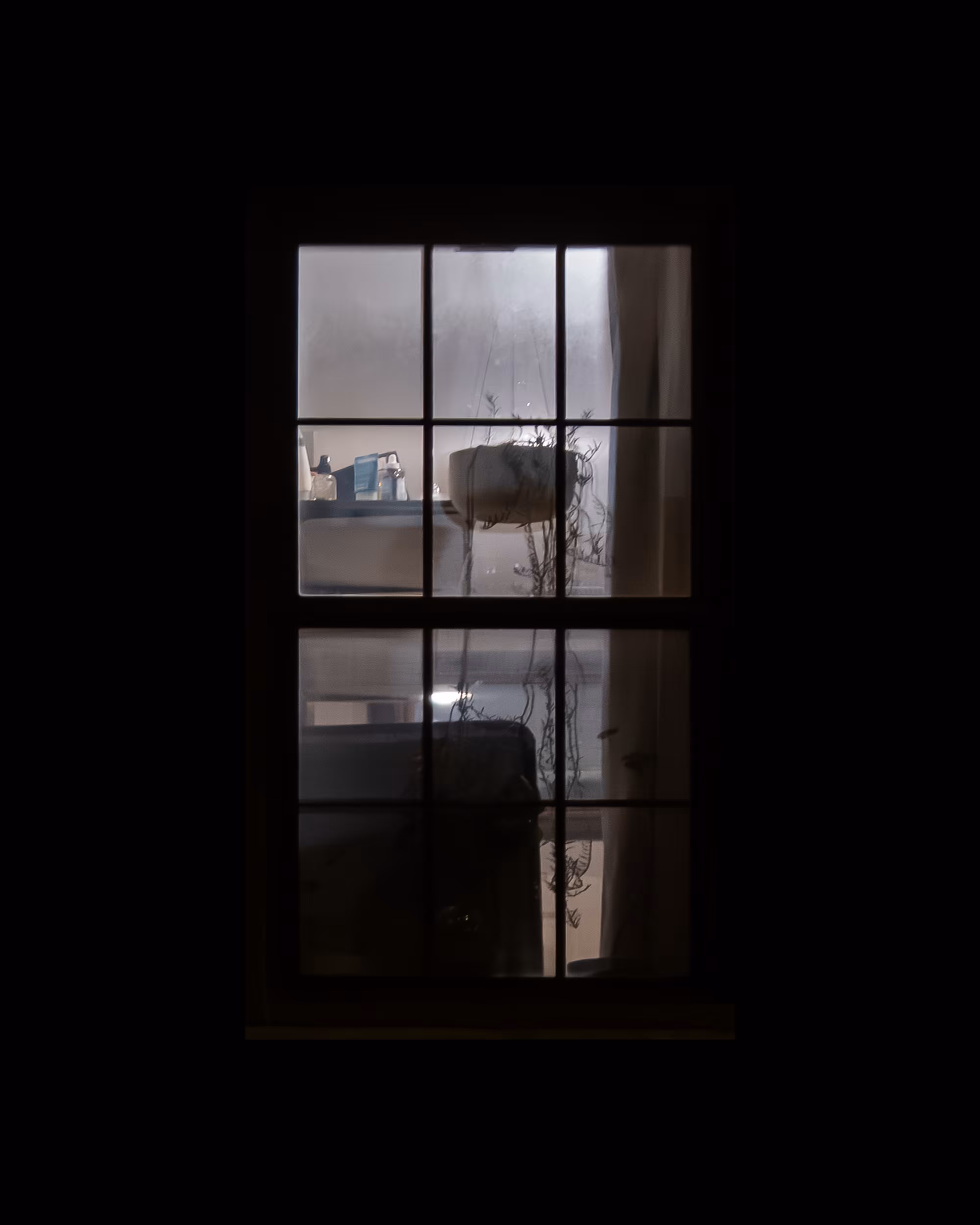 WINDOW 732