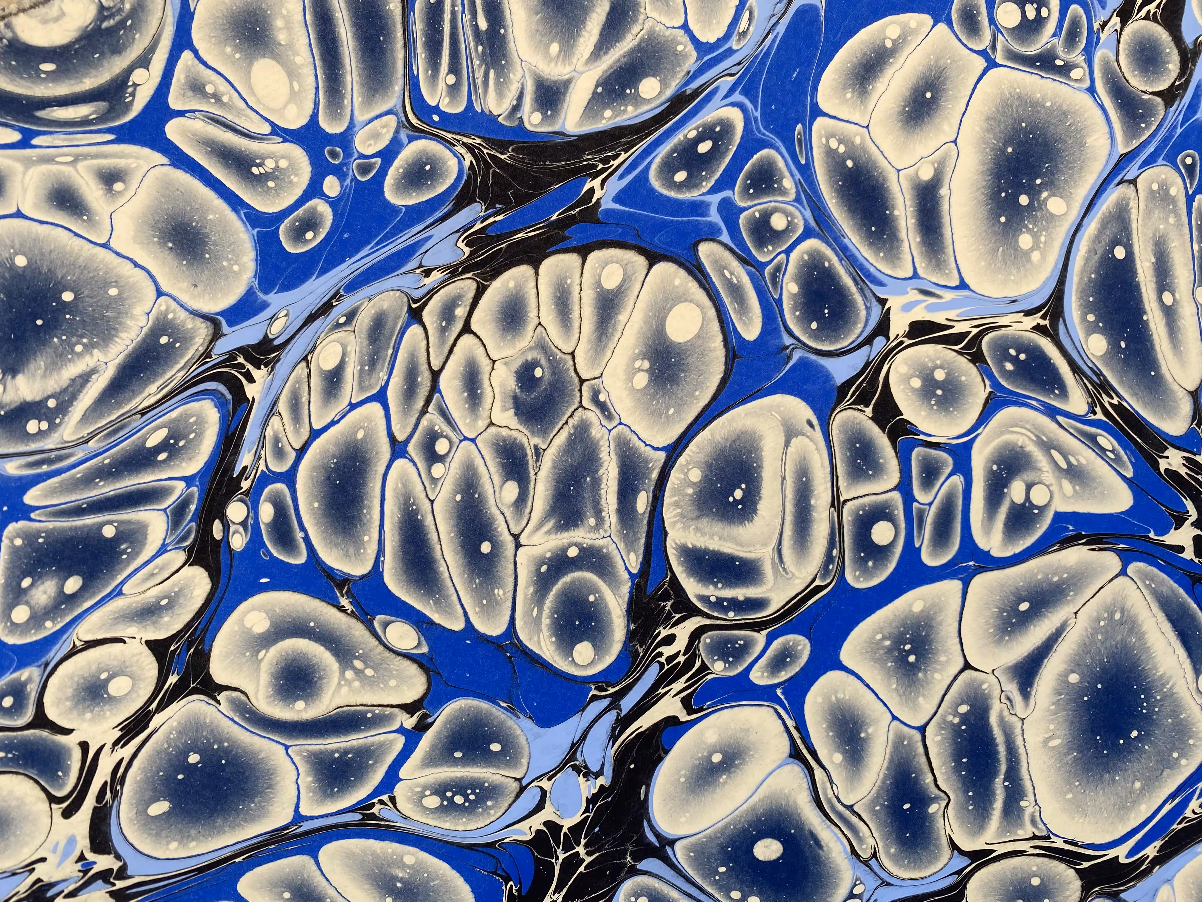 Battal Ebrû / Marbling Art SE #24