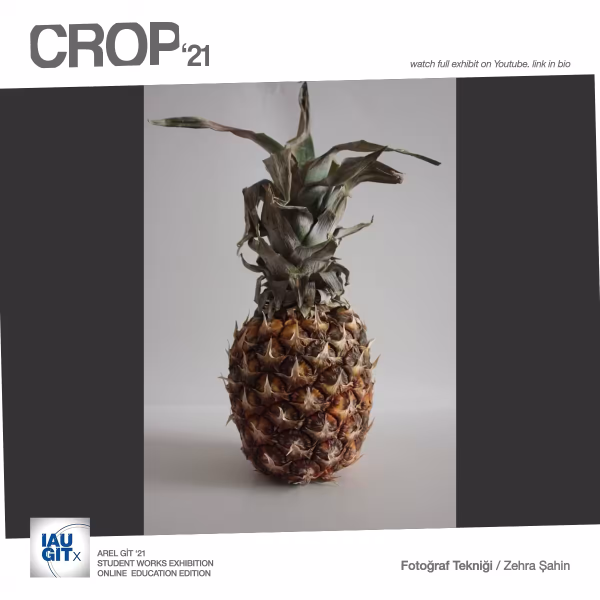 CROP'21 Photography B