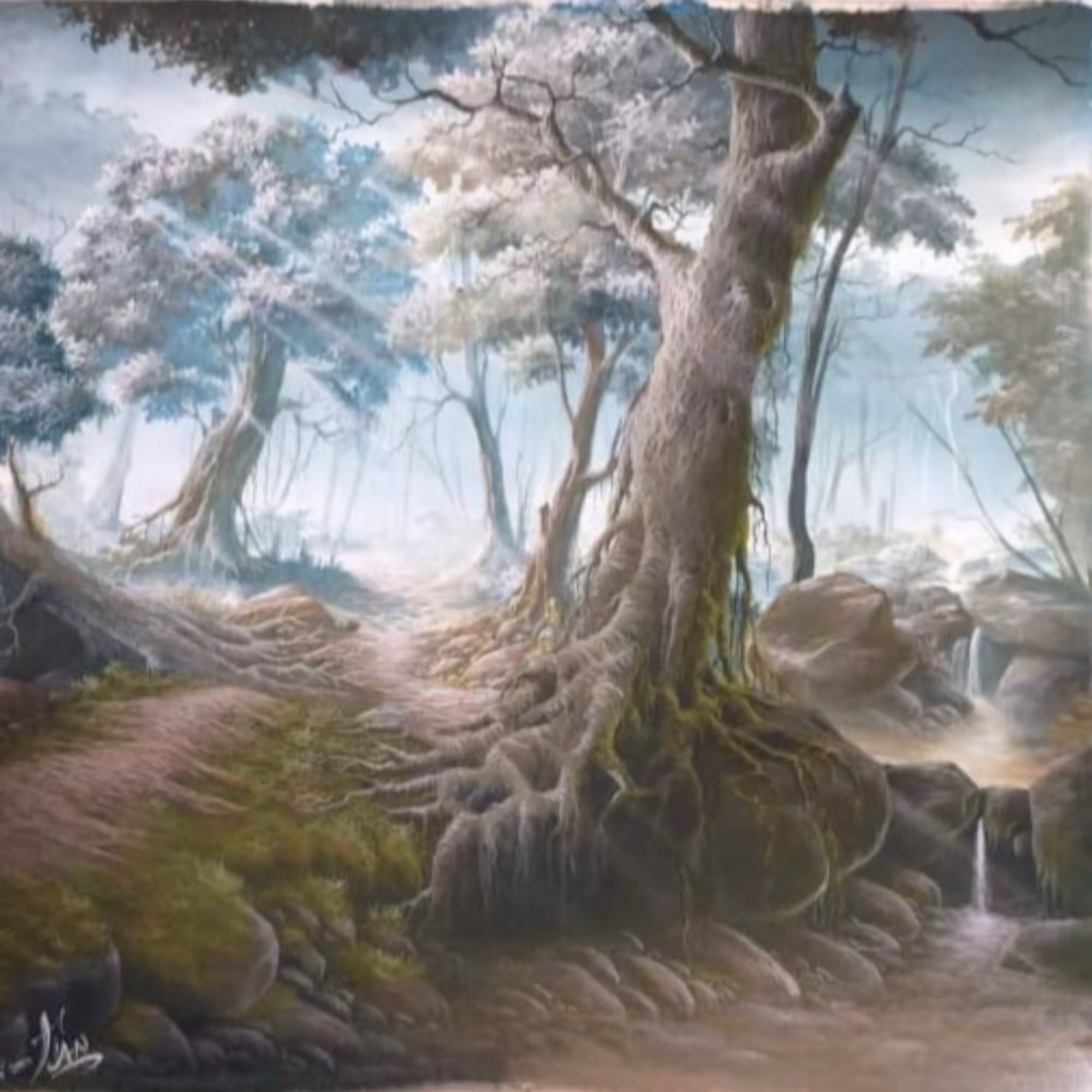 Rains forest