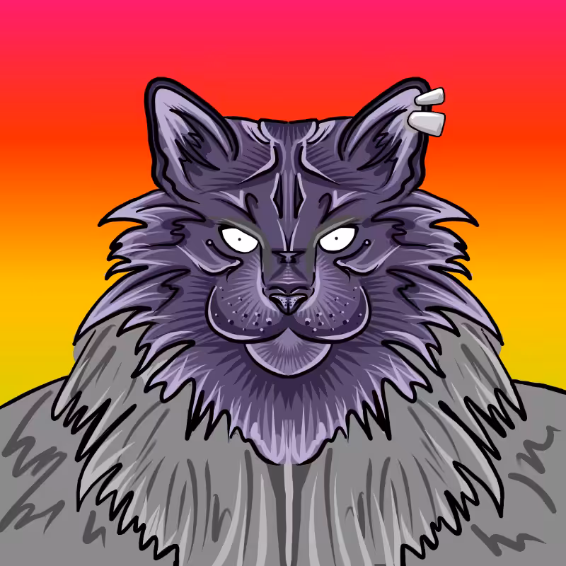 fxCat #24