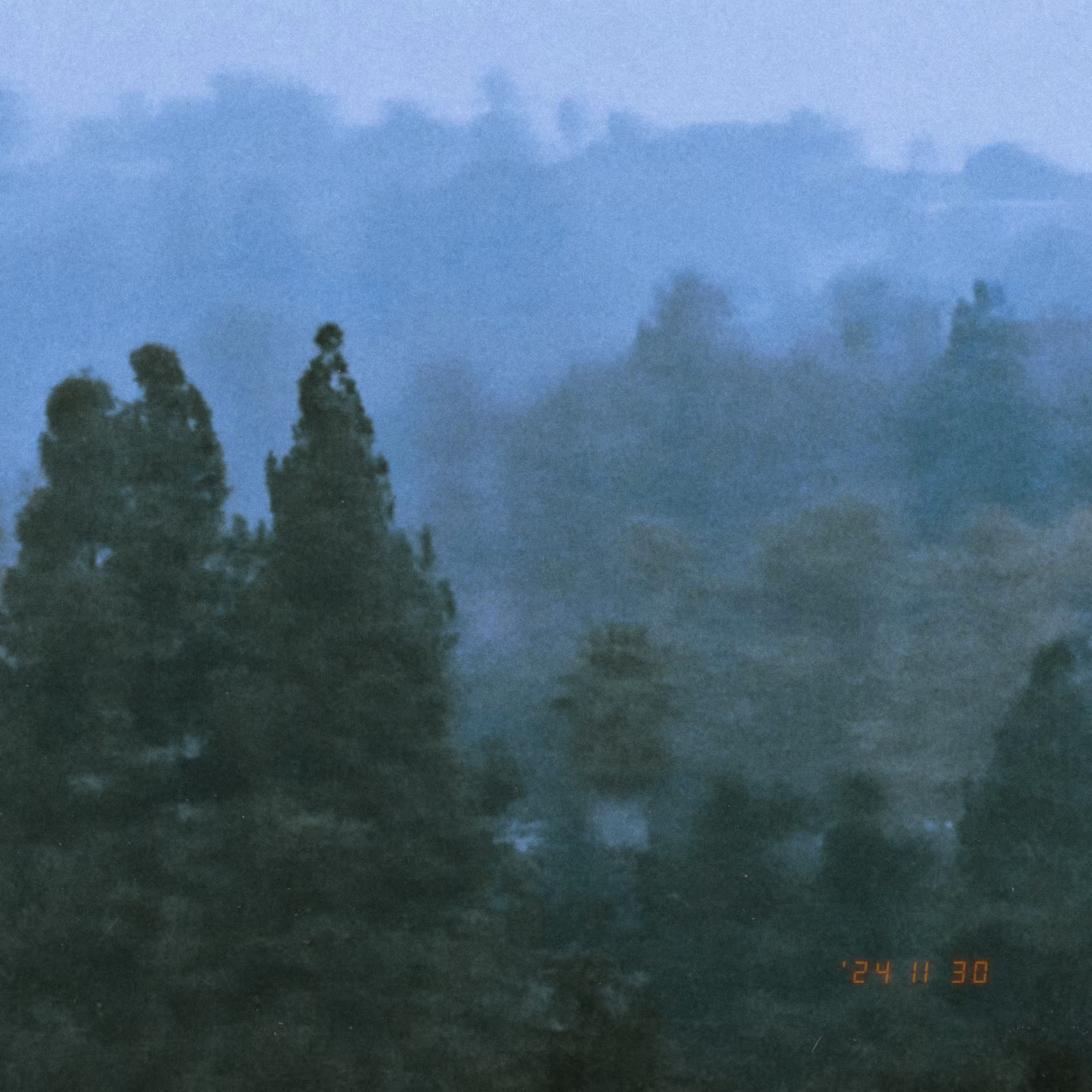 :a Visual Odyssey:: Day 335/365