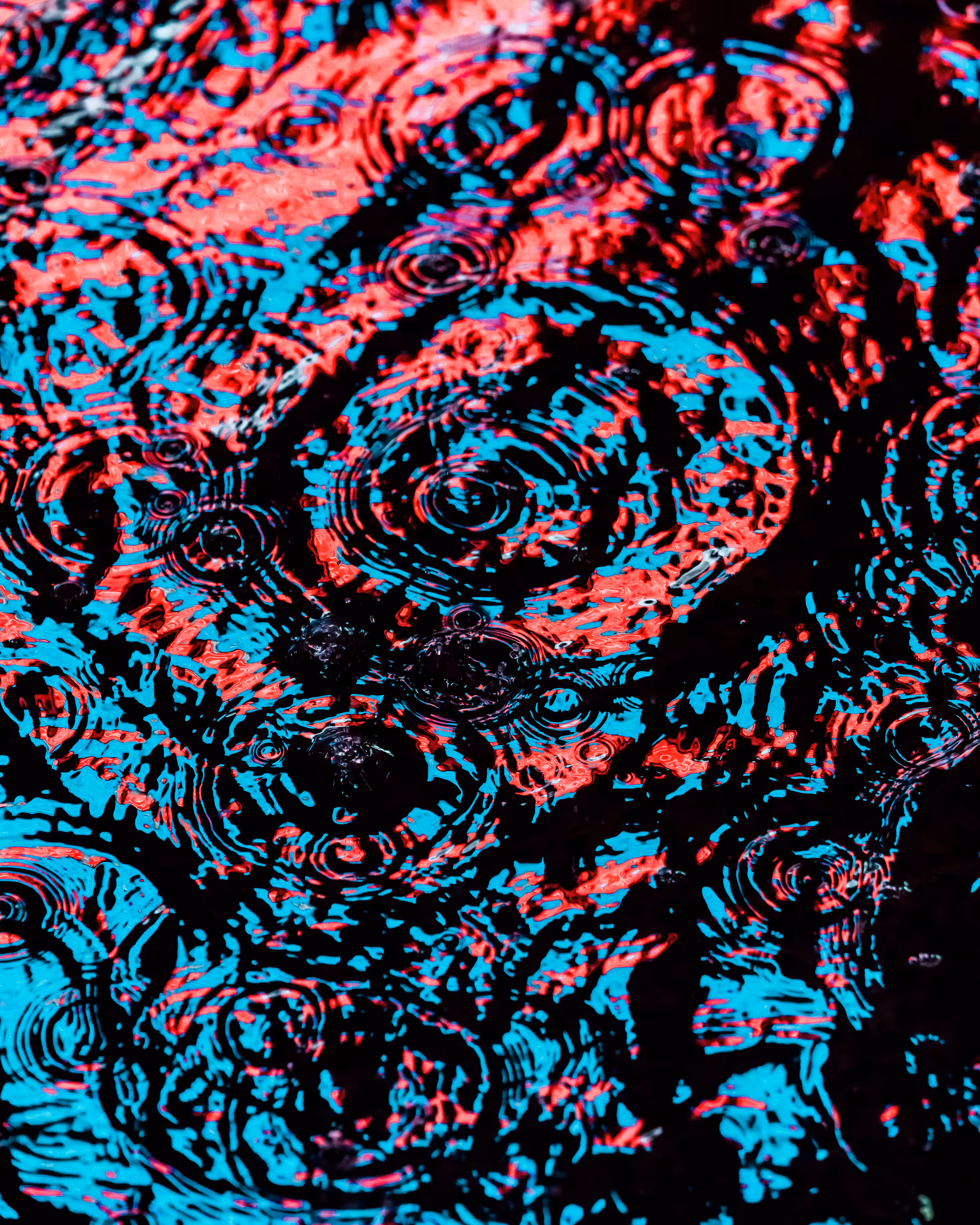 DRIP #502