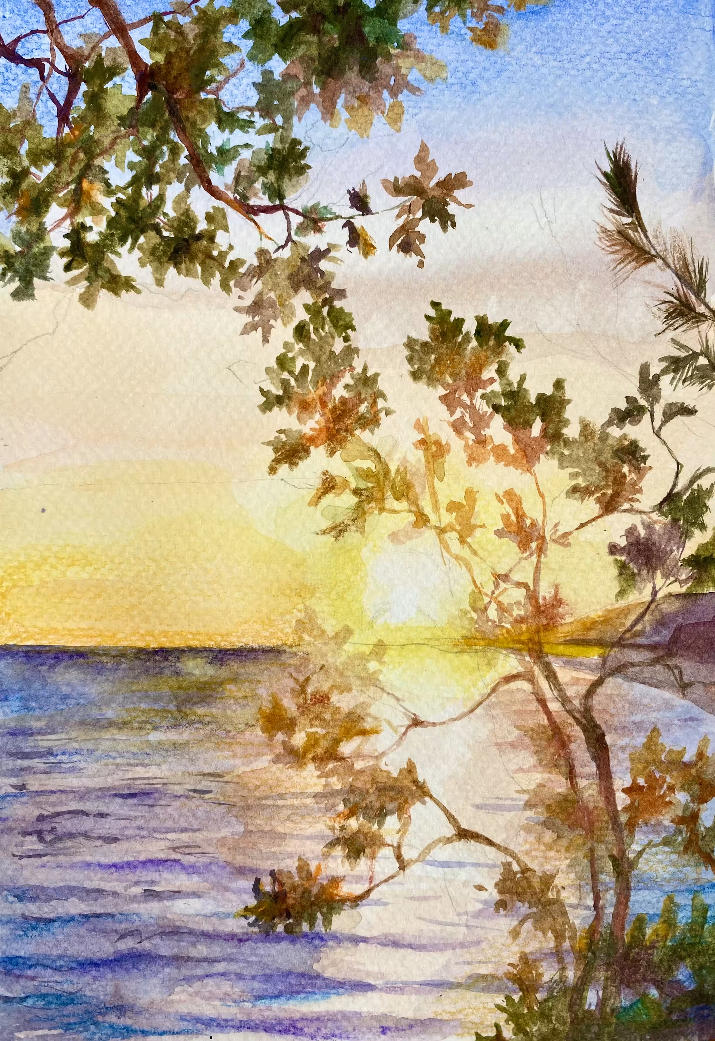 Sea sunset