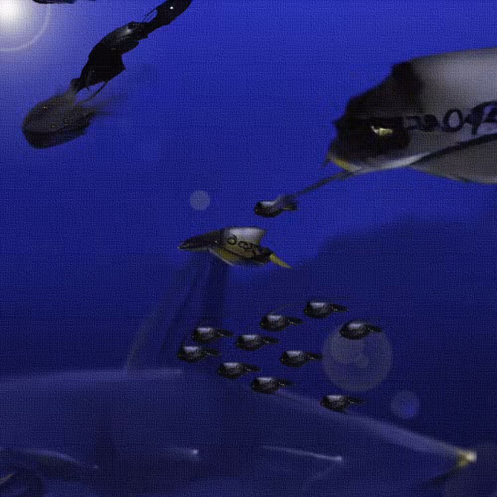 Seas of Europa - Still Frame