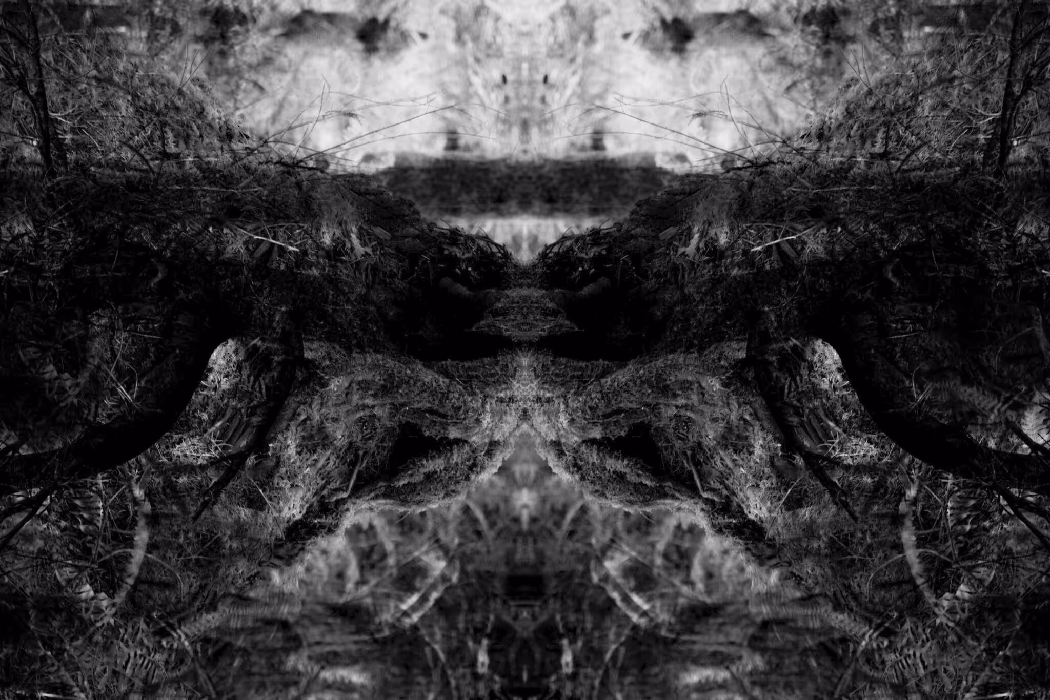 Rorschach #97