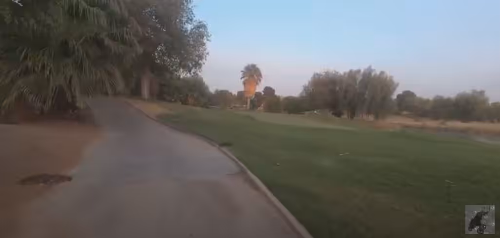 Alabama Golf in Vegas