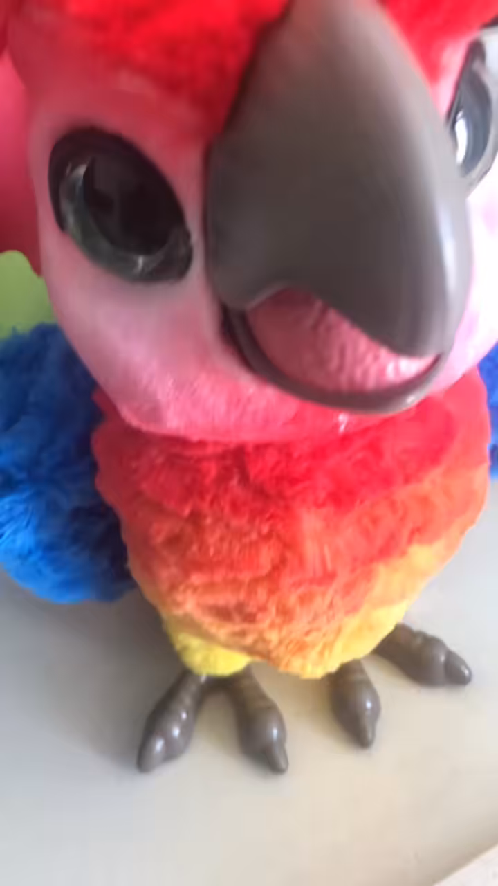 CHAKKA
