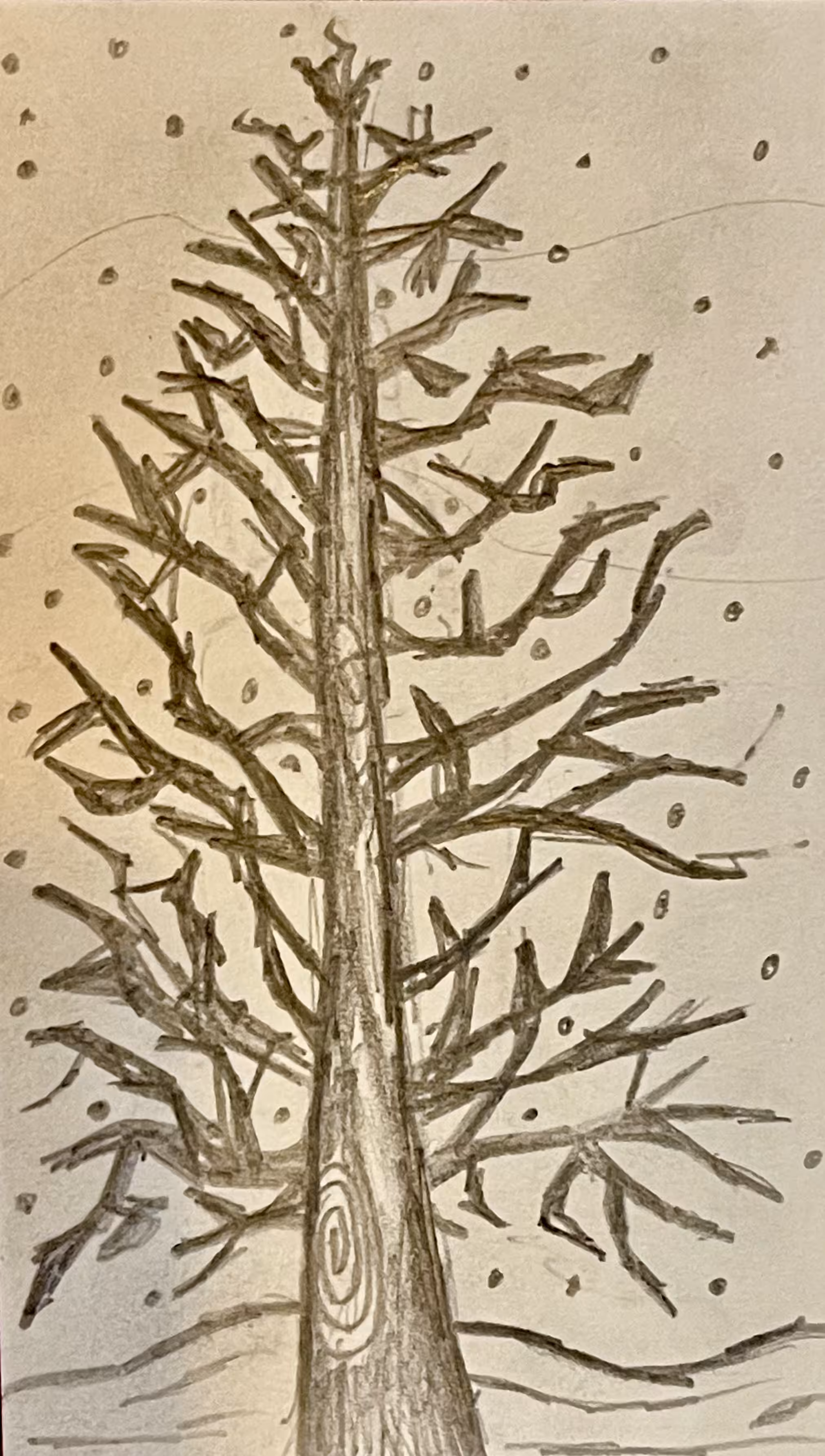 Peaceful Tree