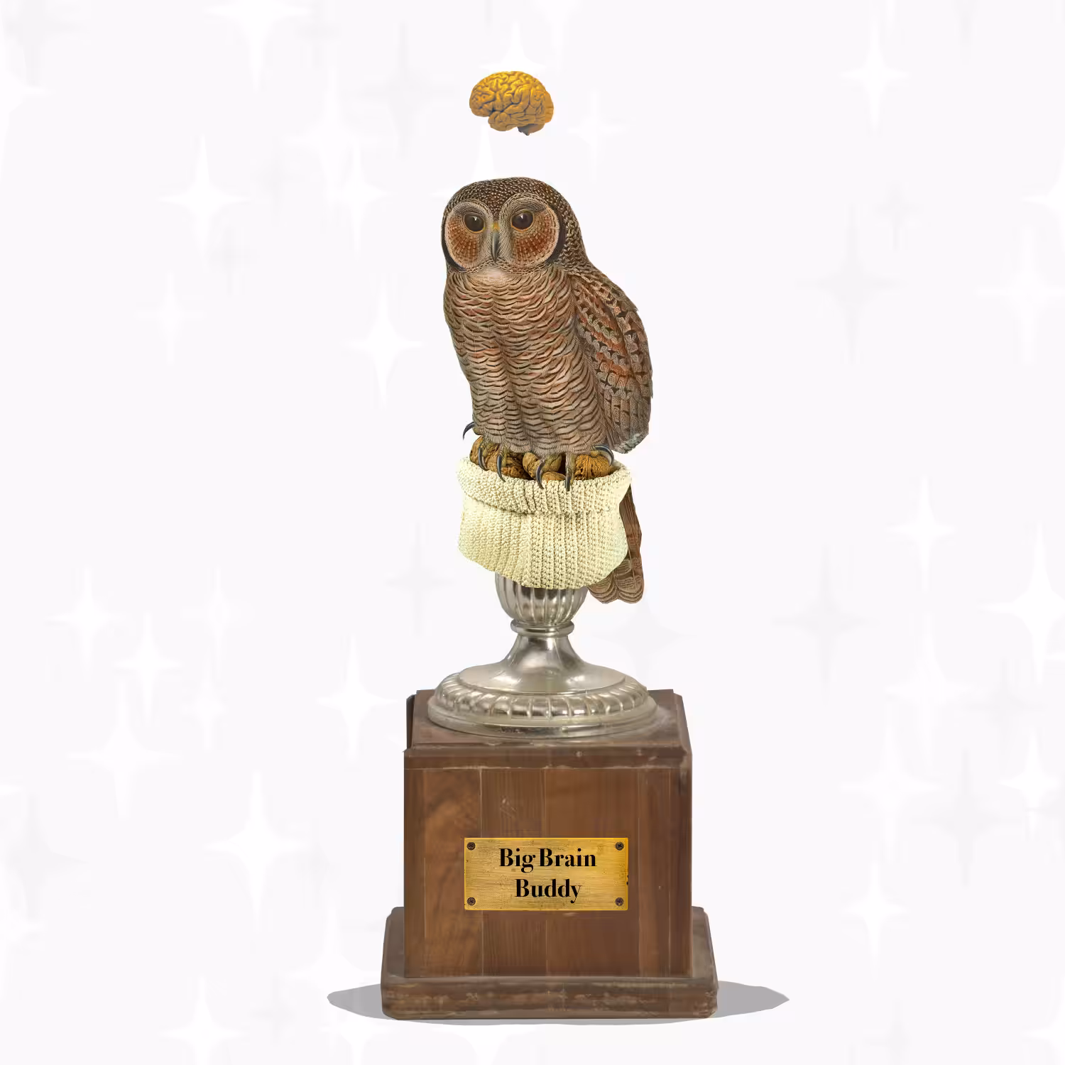 Big Brain Buddy trophy