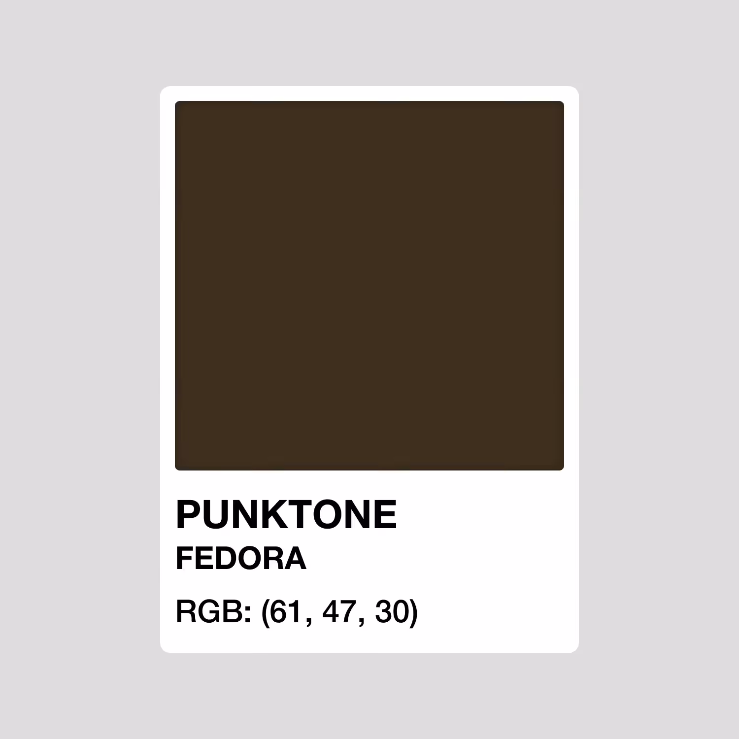 PUNKTONE FEDORA