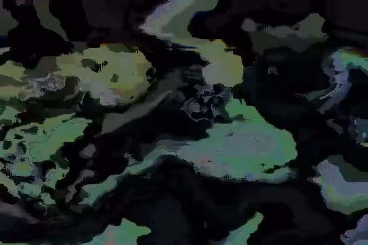MemoryCamo(Snow)