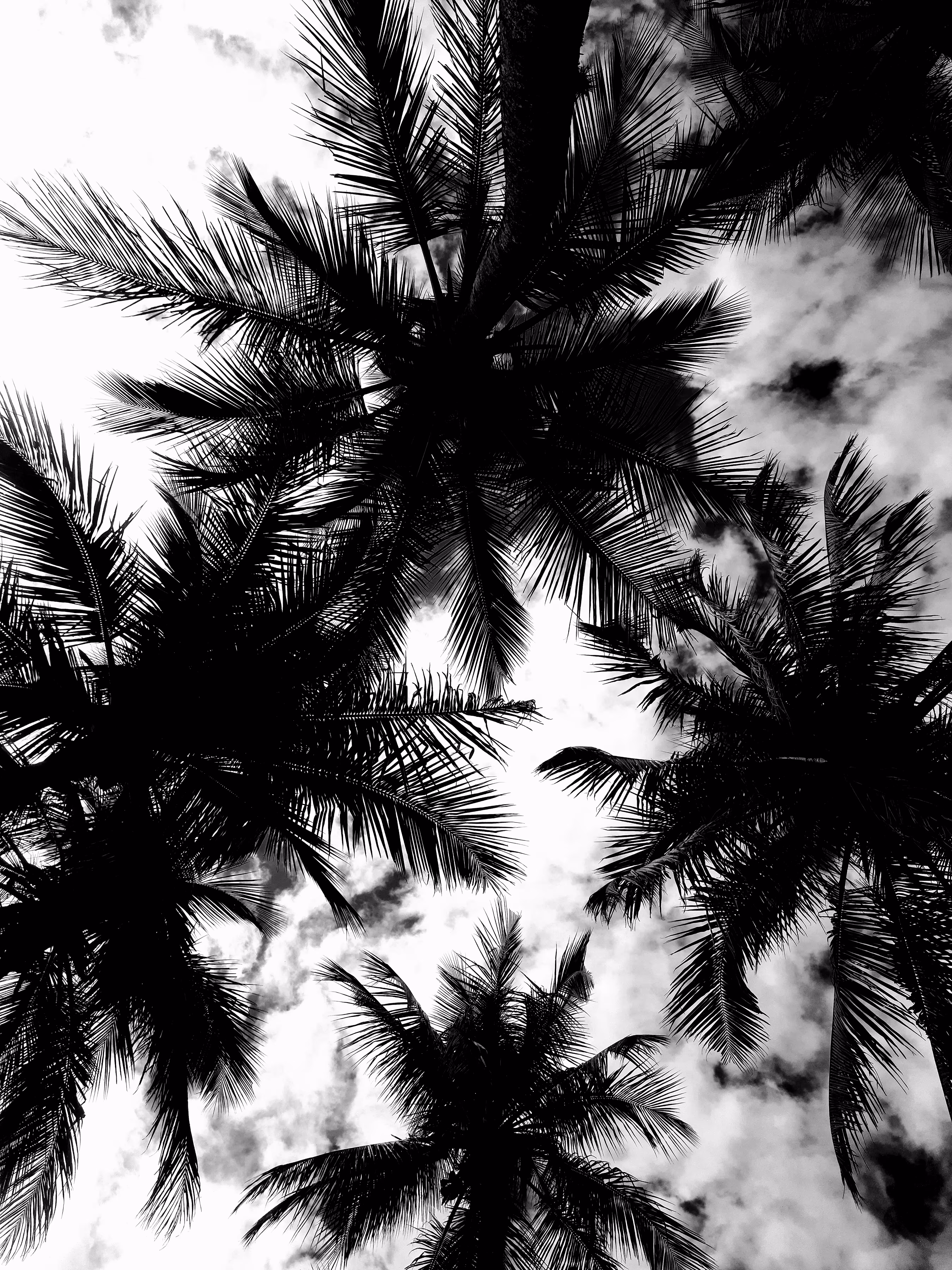 Abstract-Nature#14 