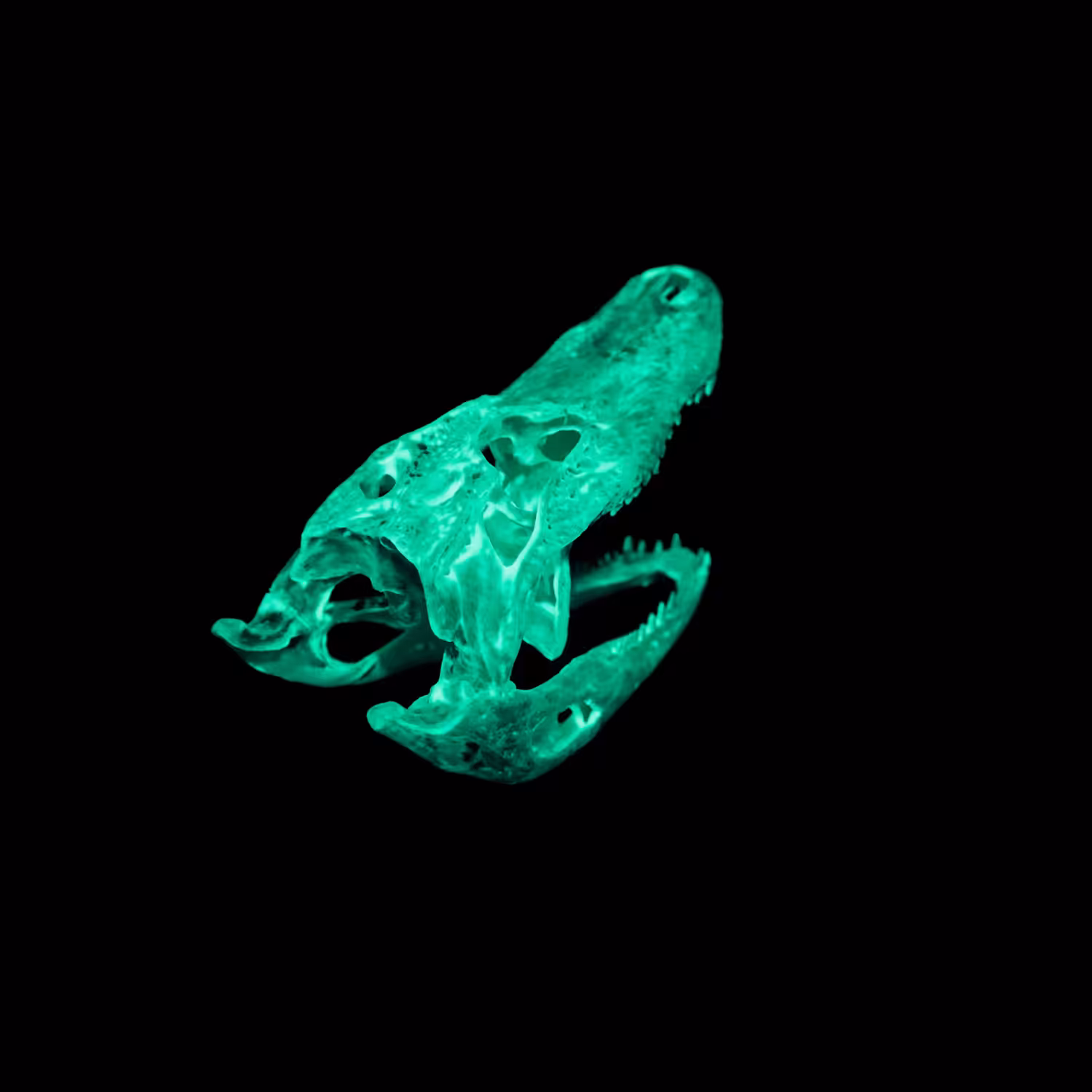Radioactive Roadkill Teal Gamma (Alligator)