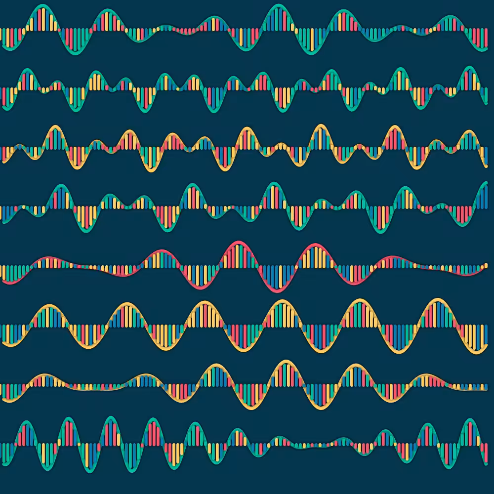 FourierSeries#01