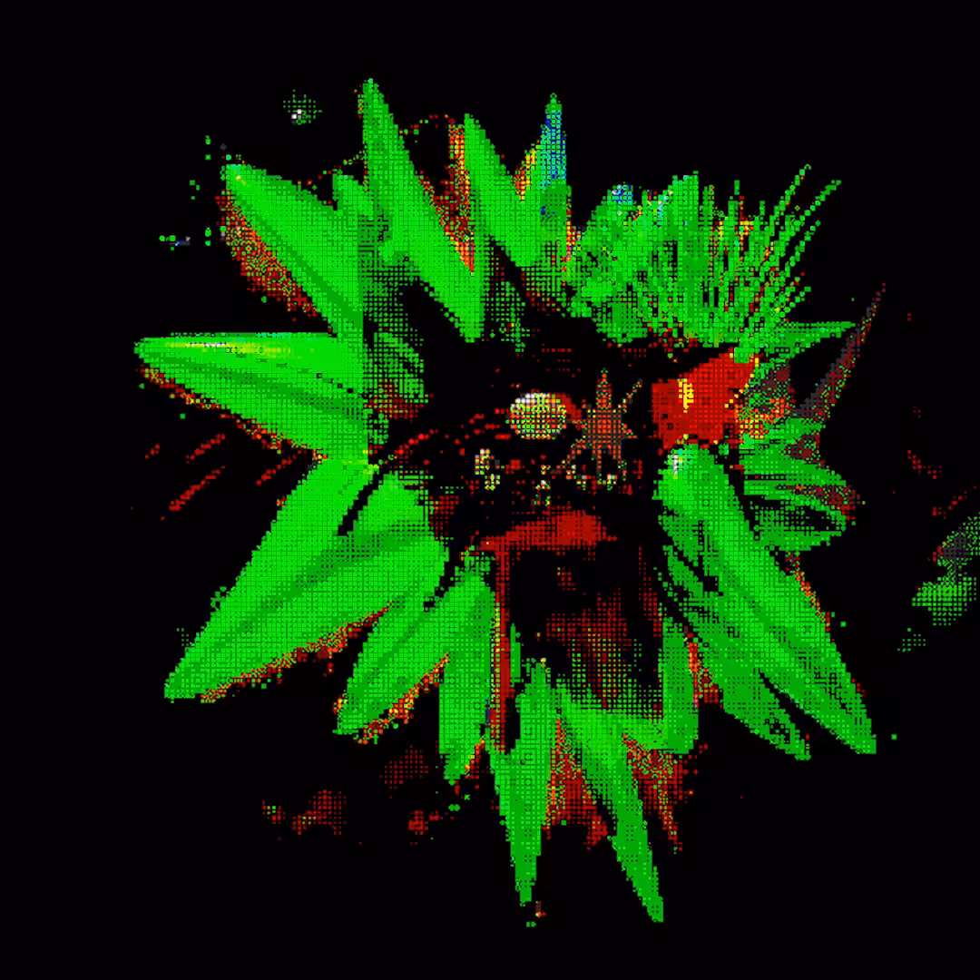 PSYCH016FLOWER
