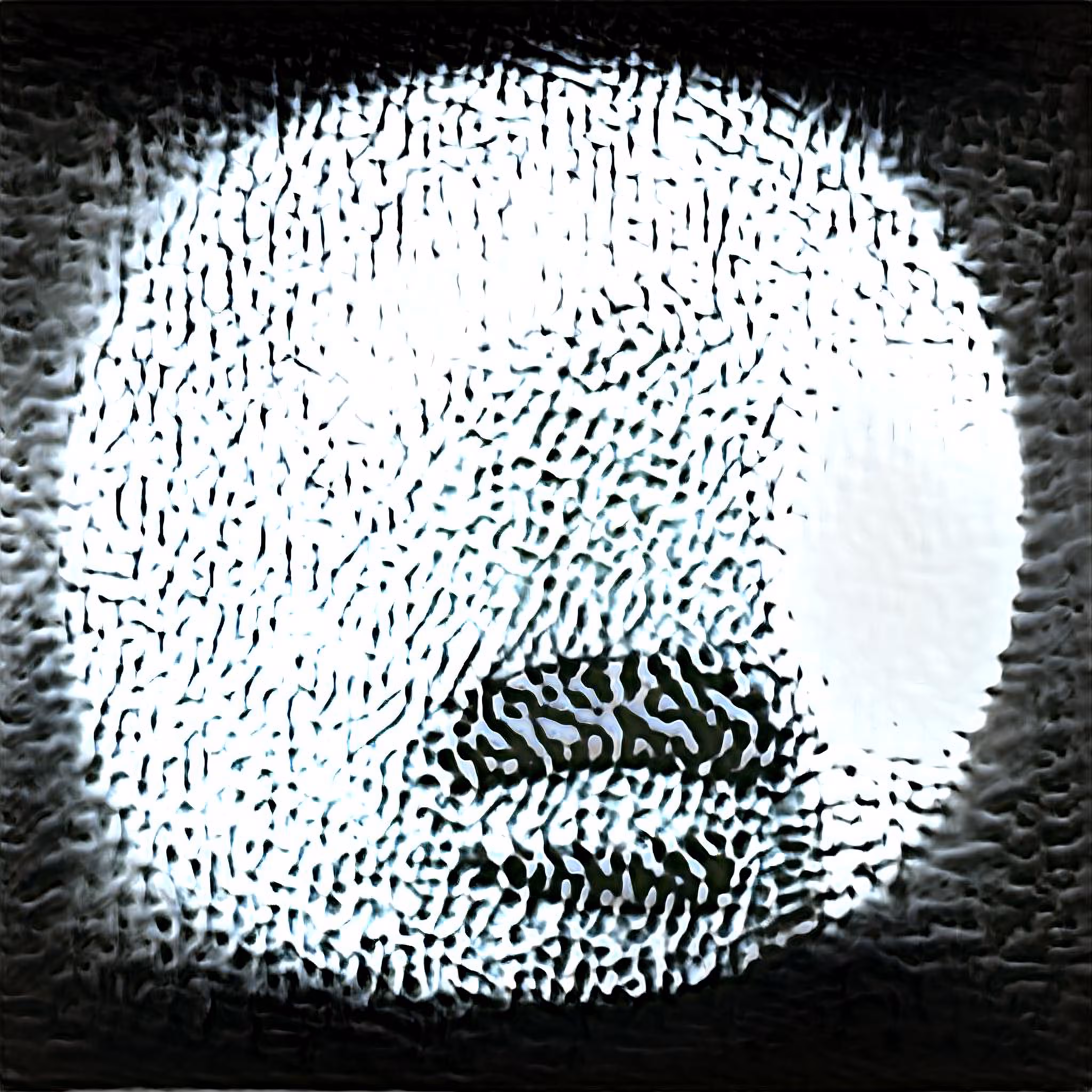GANZ 005