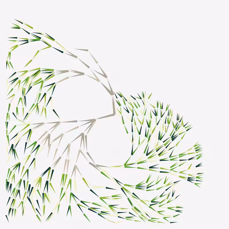 Foliage #164