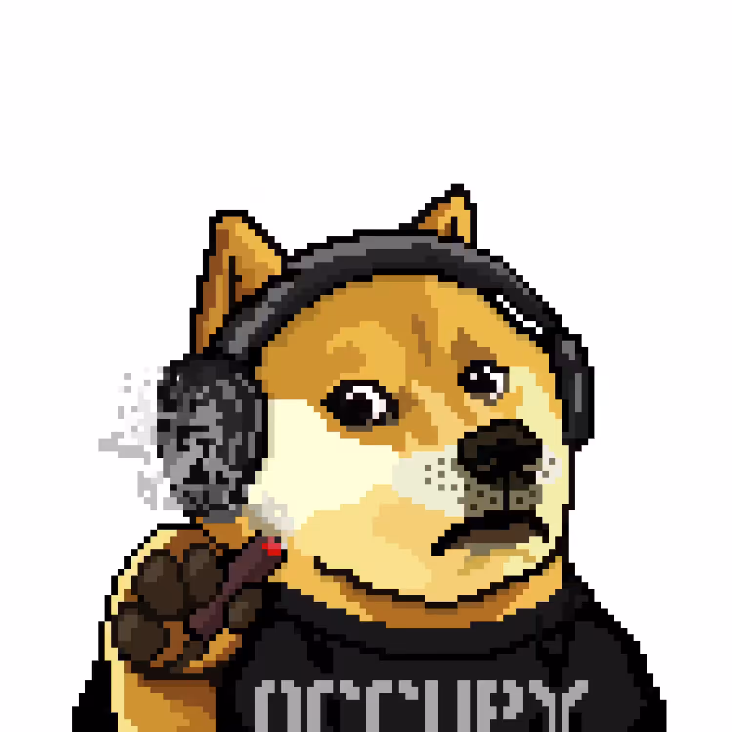 Rocket Scientist Dogecoin Enthusiast